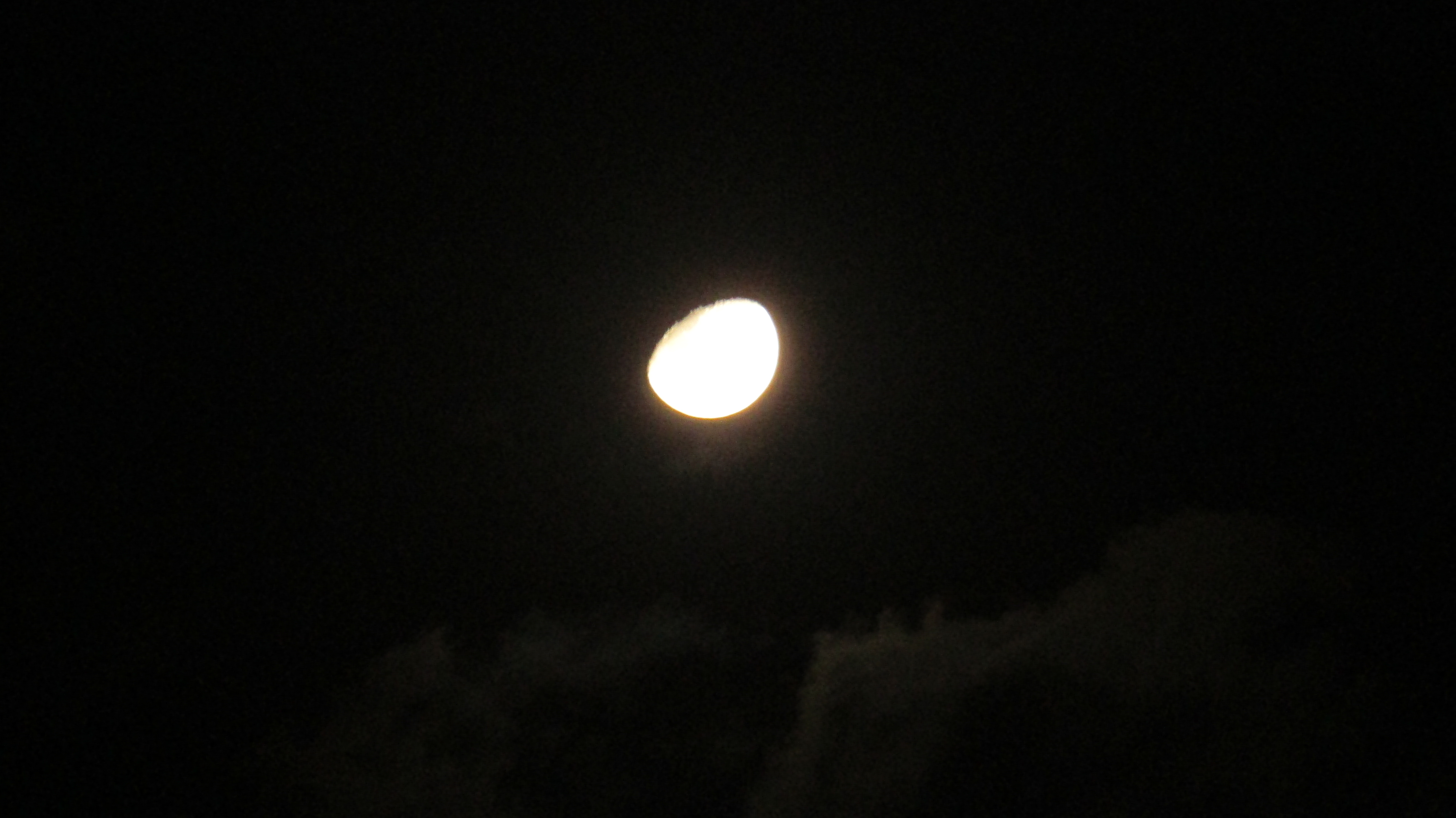 IMG_0917.JPG