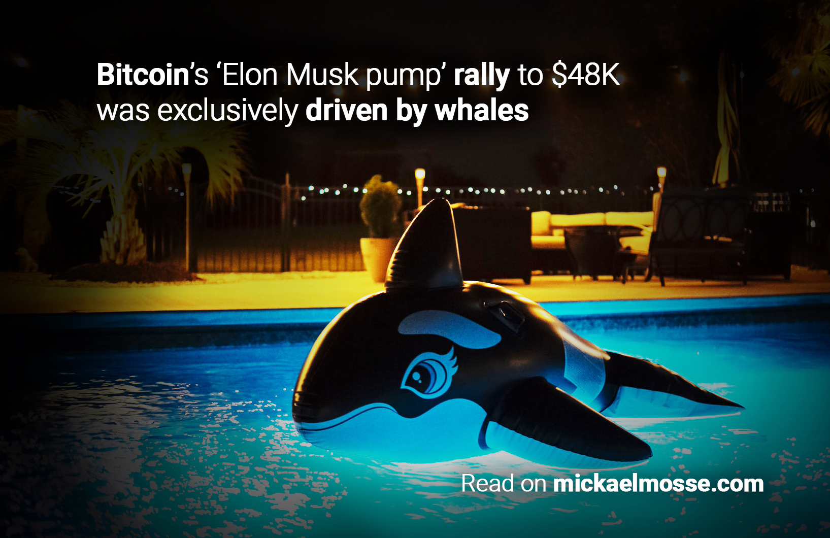 bitcoins-elon-musk-pump-rally-to-48k-was-exclusively-driven-by-whales_Mickael Mosse.jpg