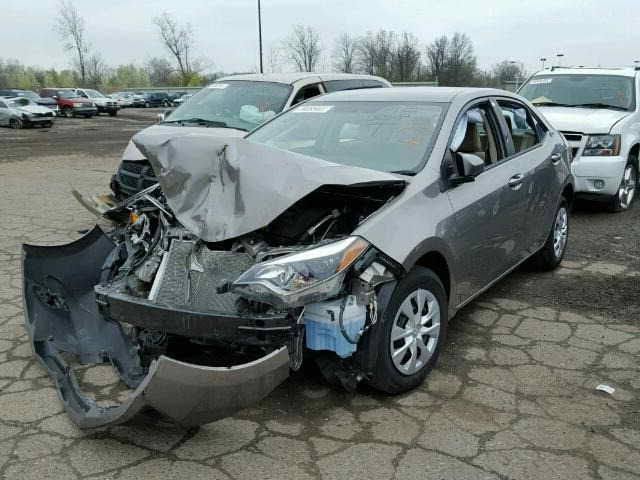 images (5).jpeg