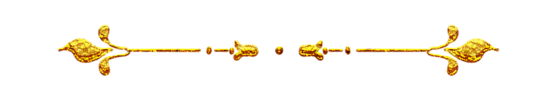separador 2.png