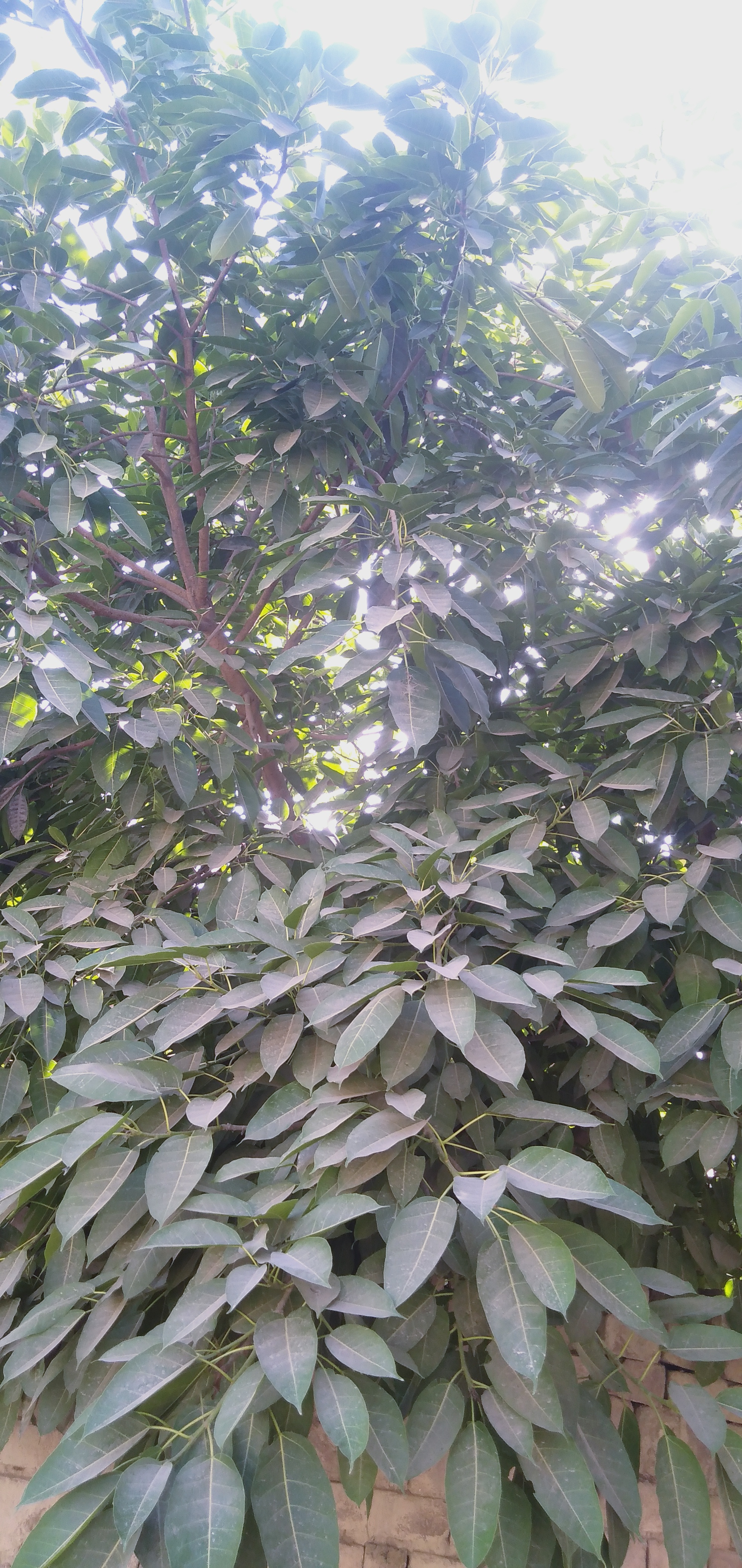 IMG20210419151907.jpg