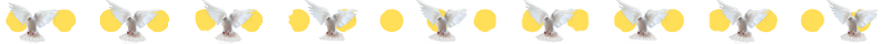 paloma.png