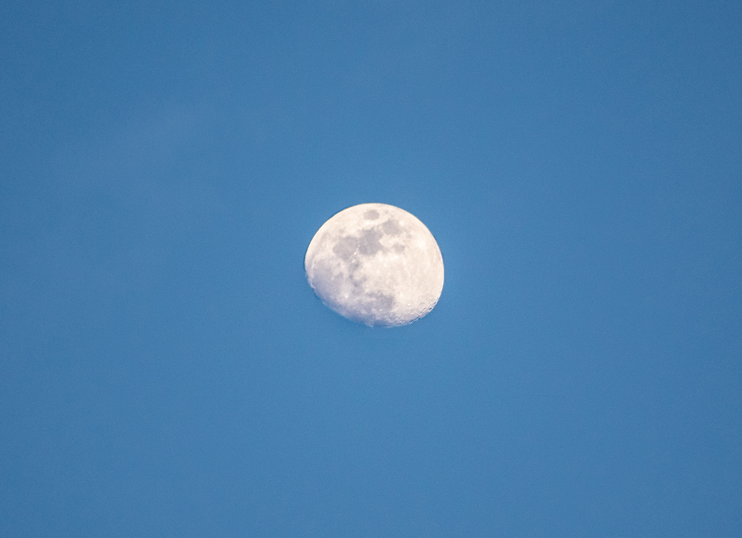 DSC_0541.jpg
