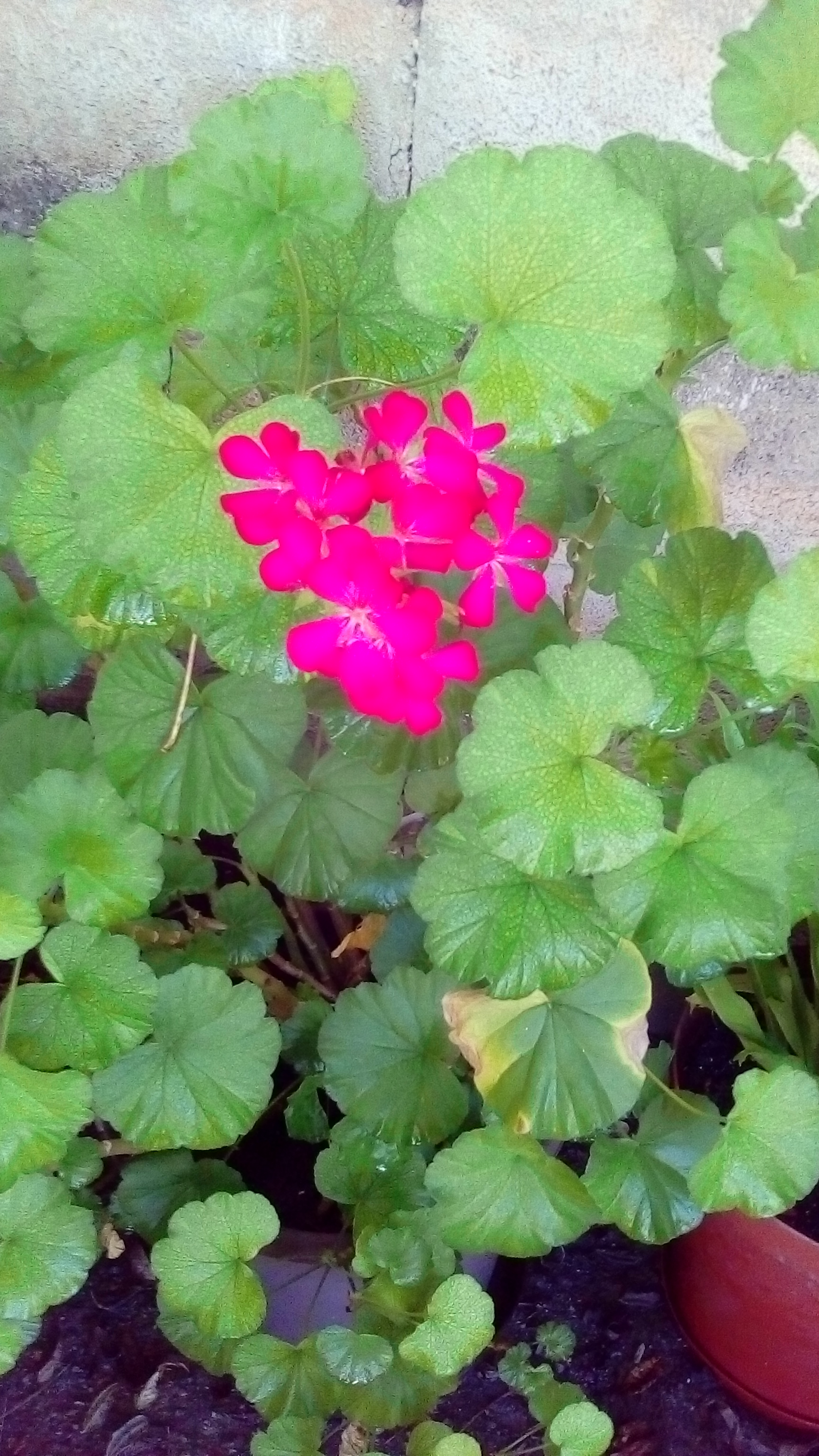 IMG_20200104_095930.jpg