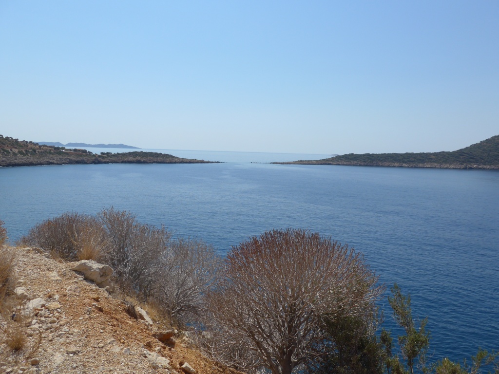P1100849.JPG