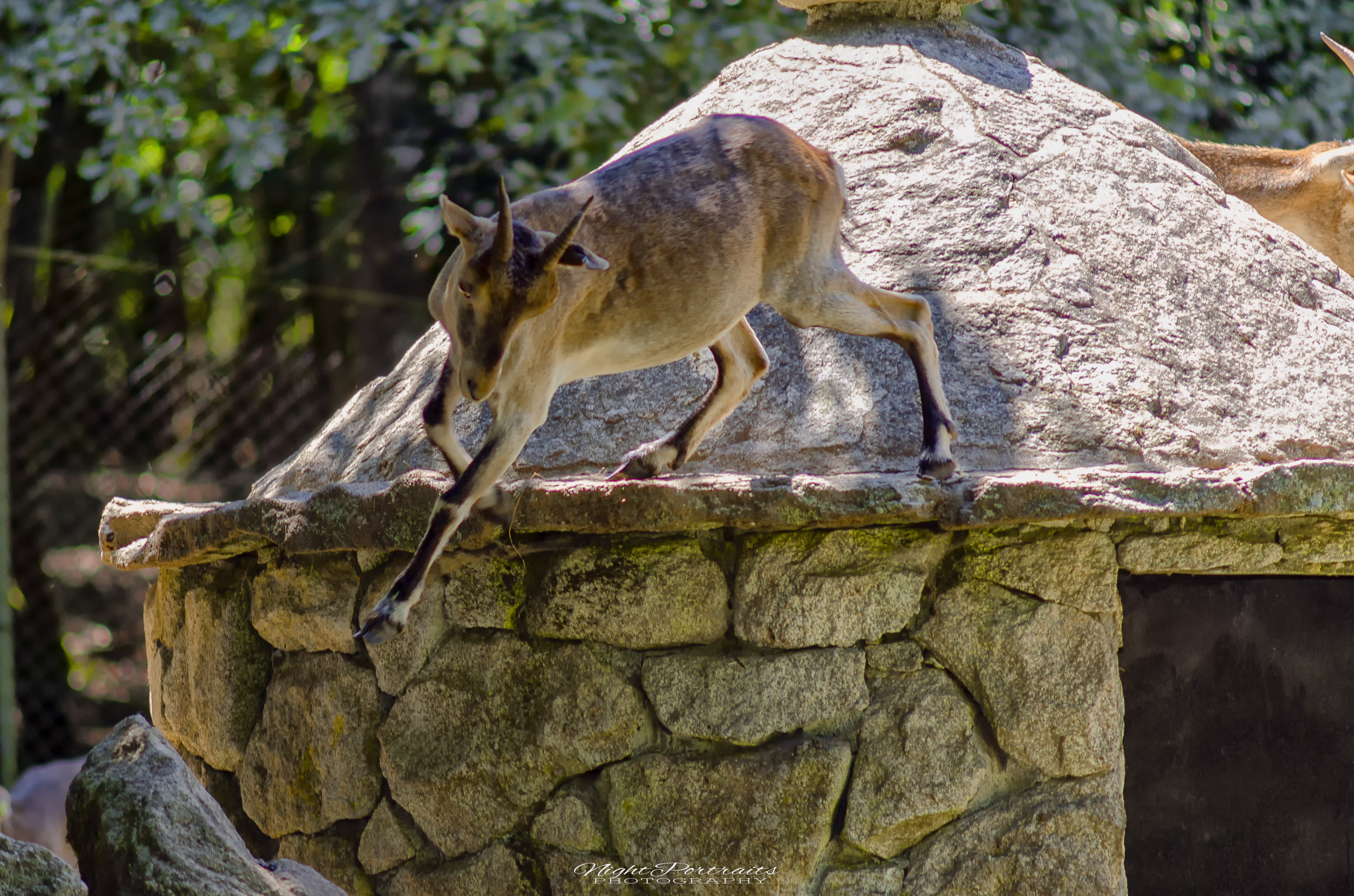 DSC_5211.jpg