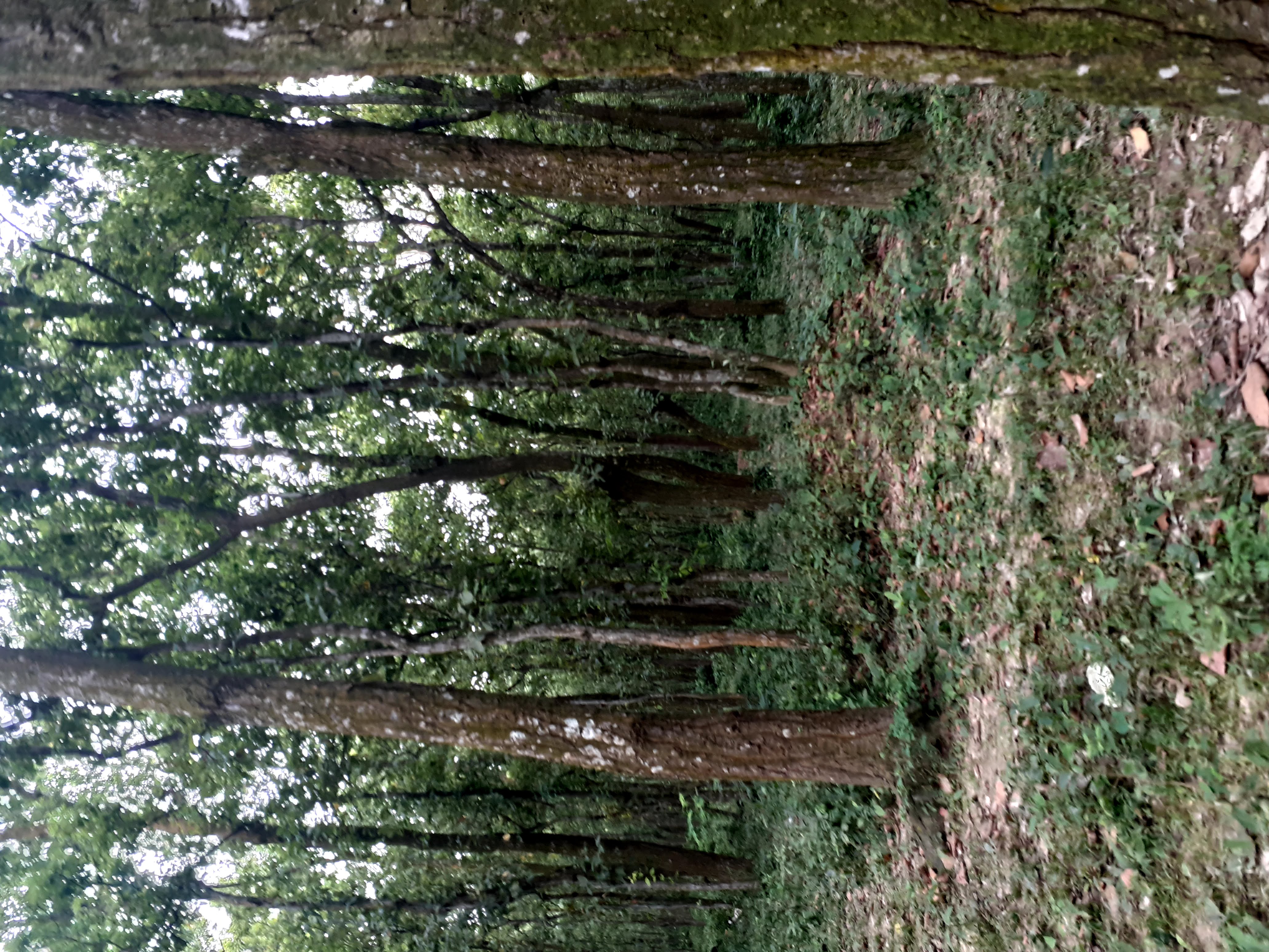 20200718_123258.jpg
