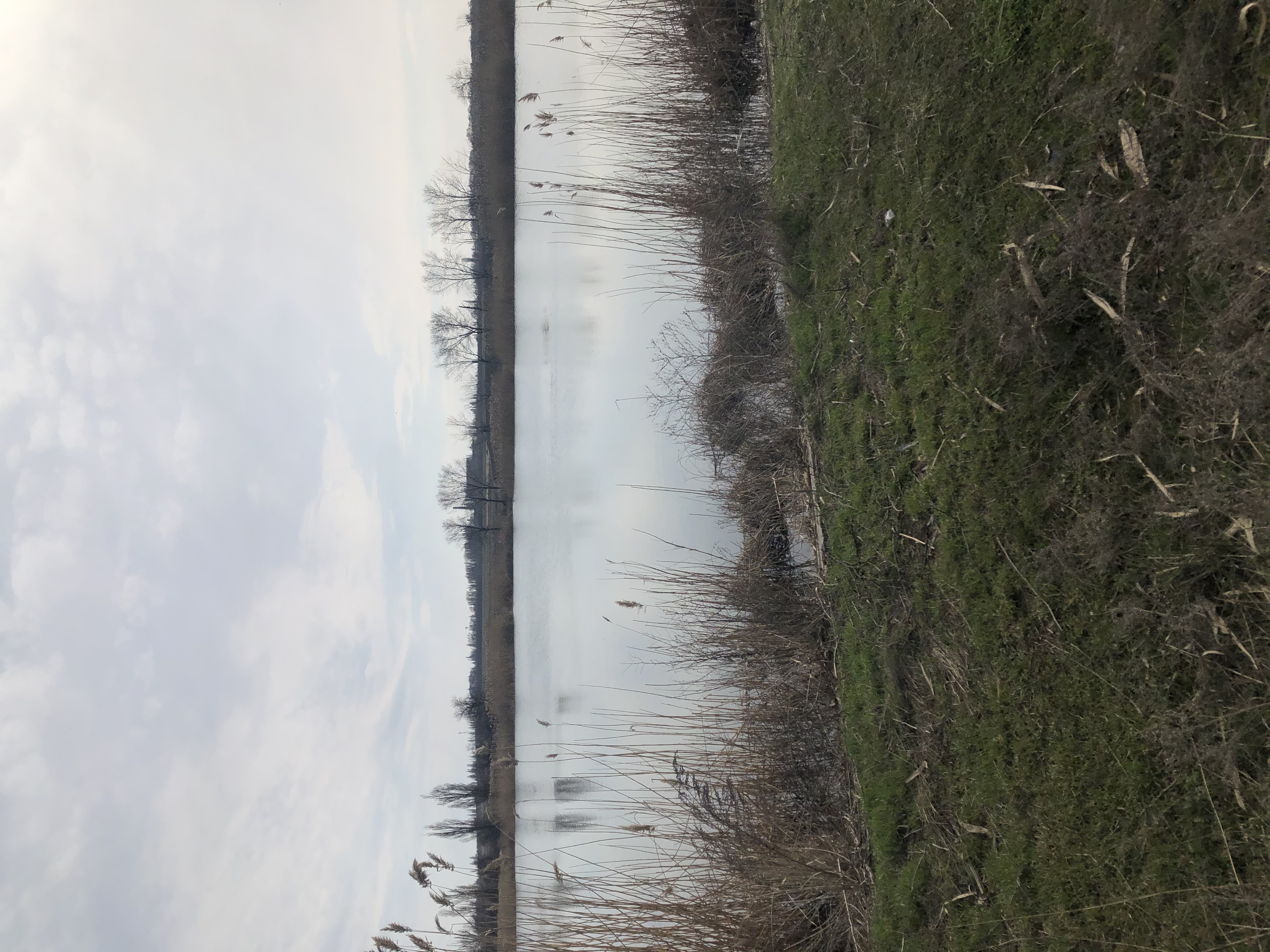 AF13D44A-9CE4-4515-AB34-747CFE754B61.jpeg
