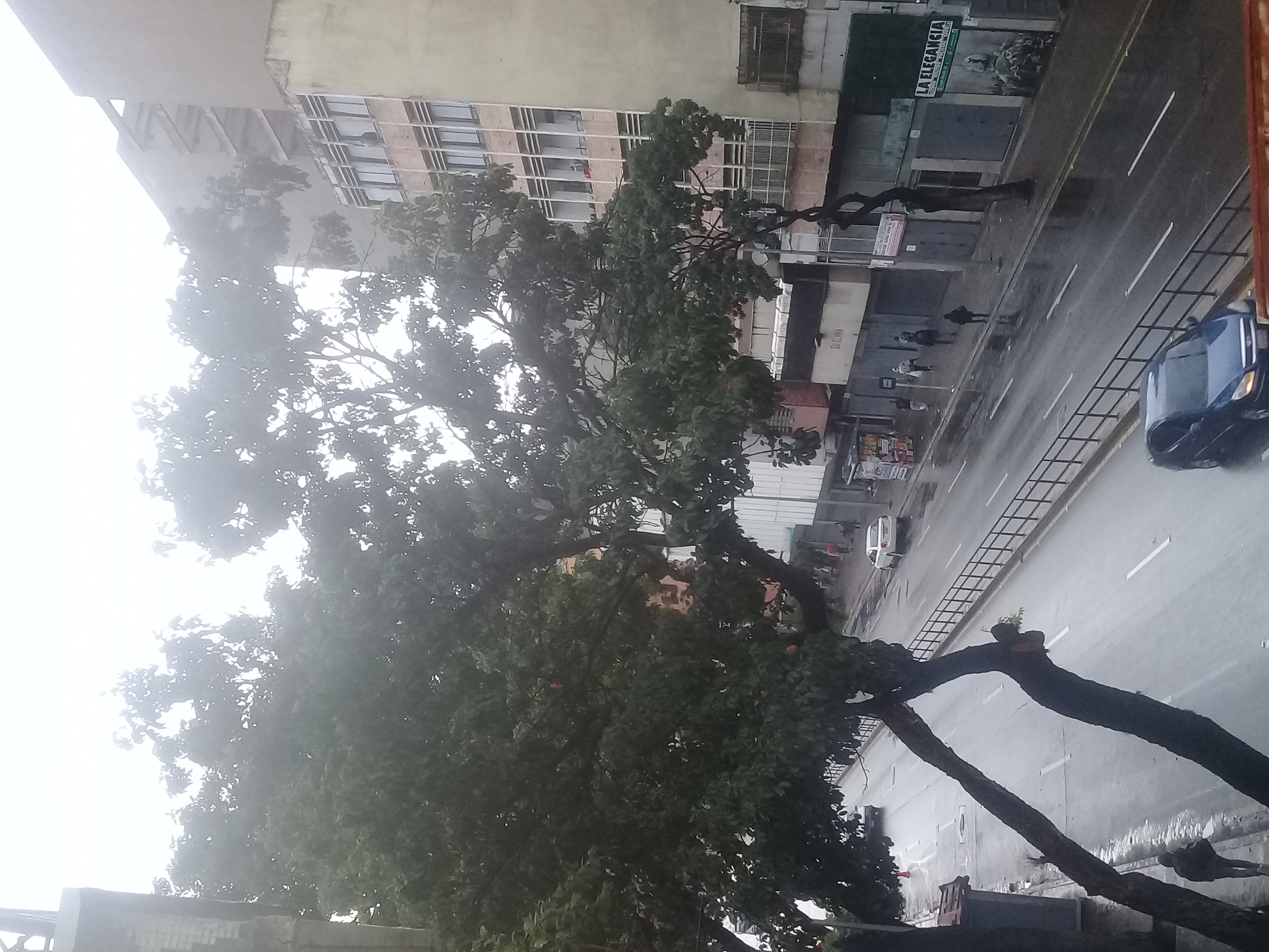 20210719_074445.jpg