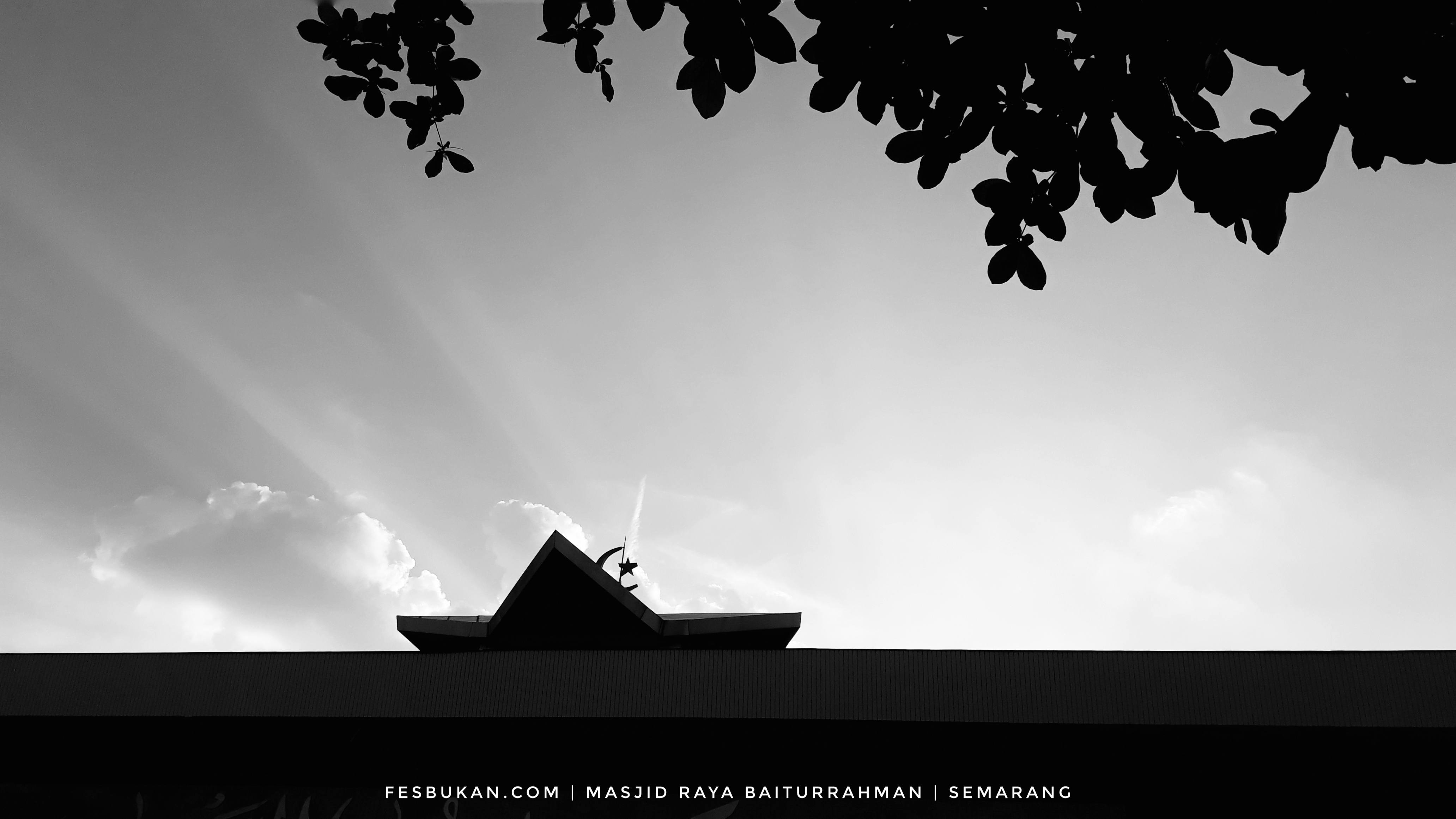 20180627_163543-01.jpeg