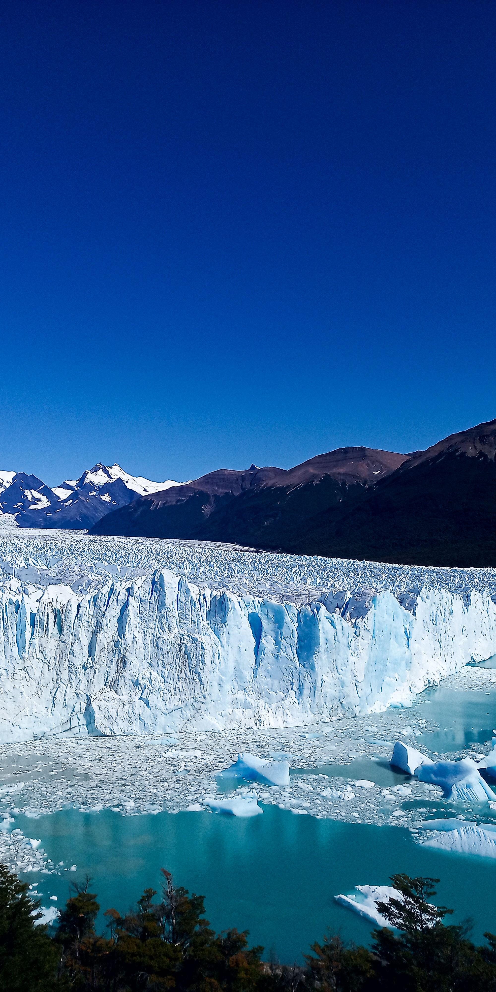IMG_20210303_130747 (1).jpg