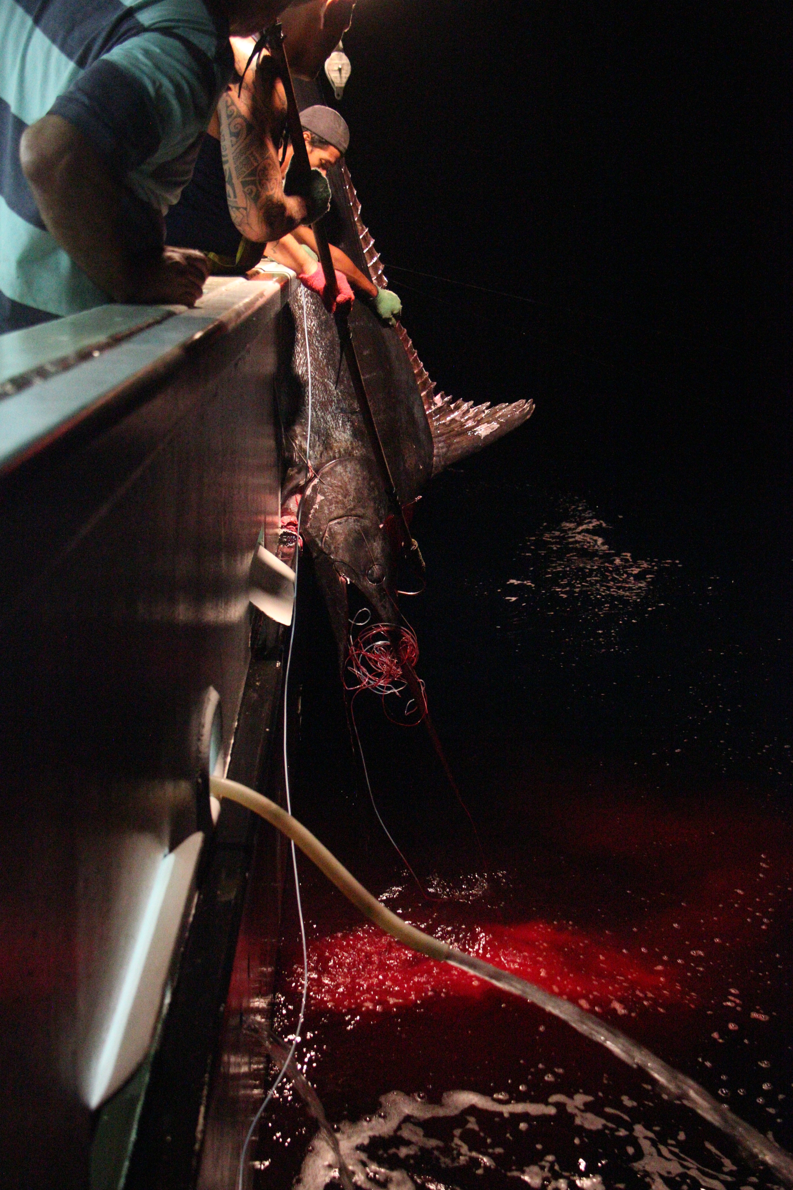 bloody.JPG