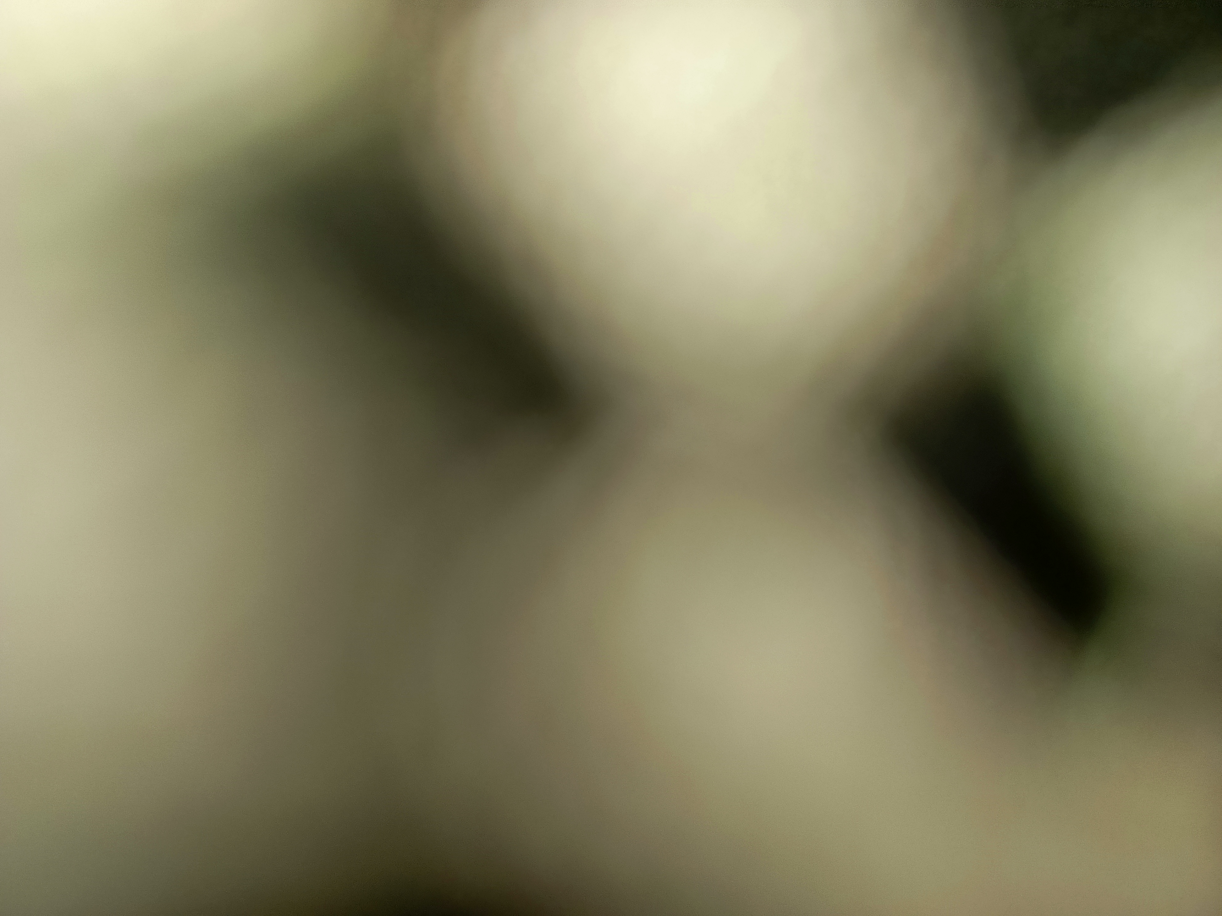 1000664789.jpg