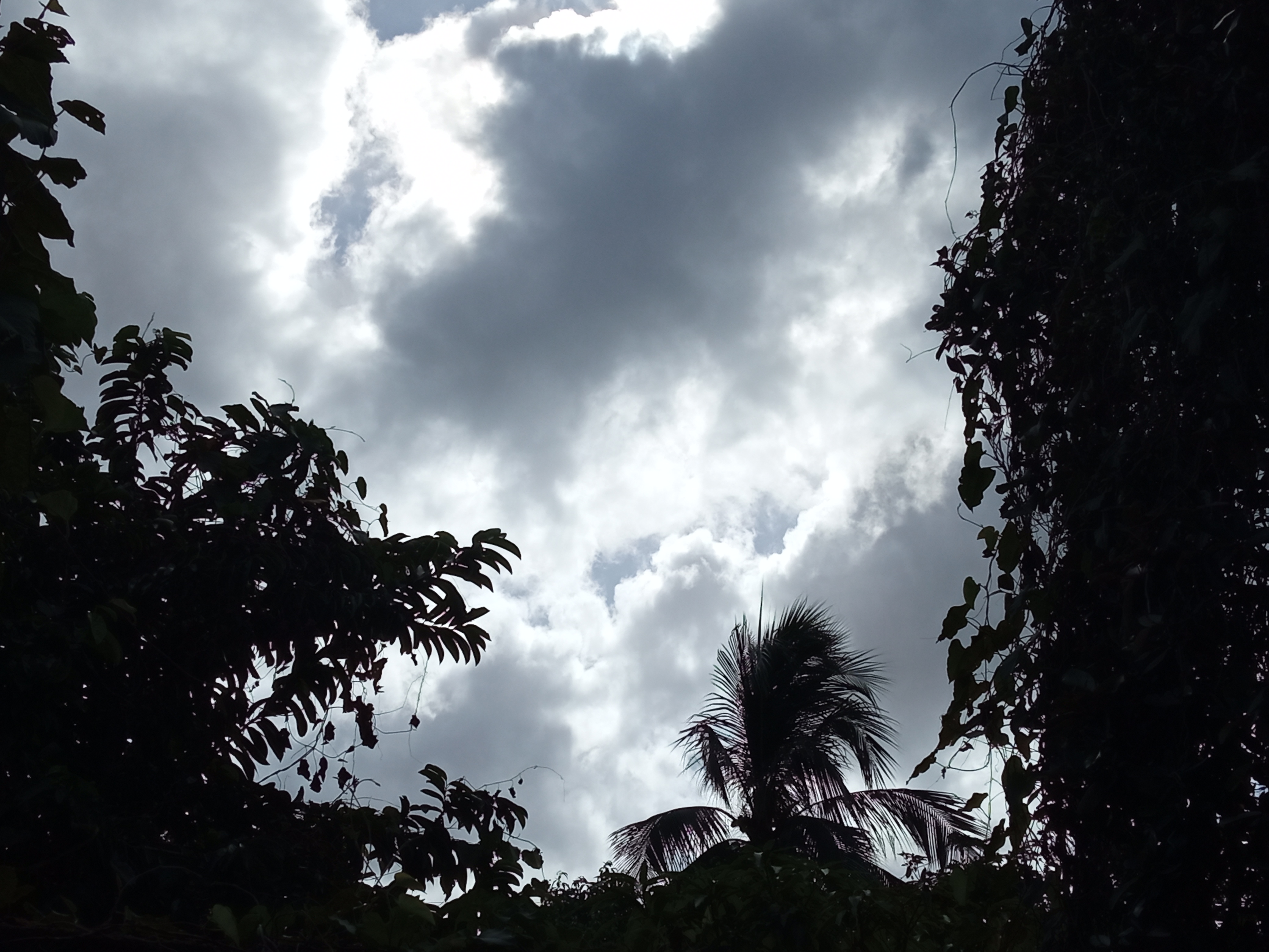 IMG_20220110_085601.jpg