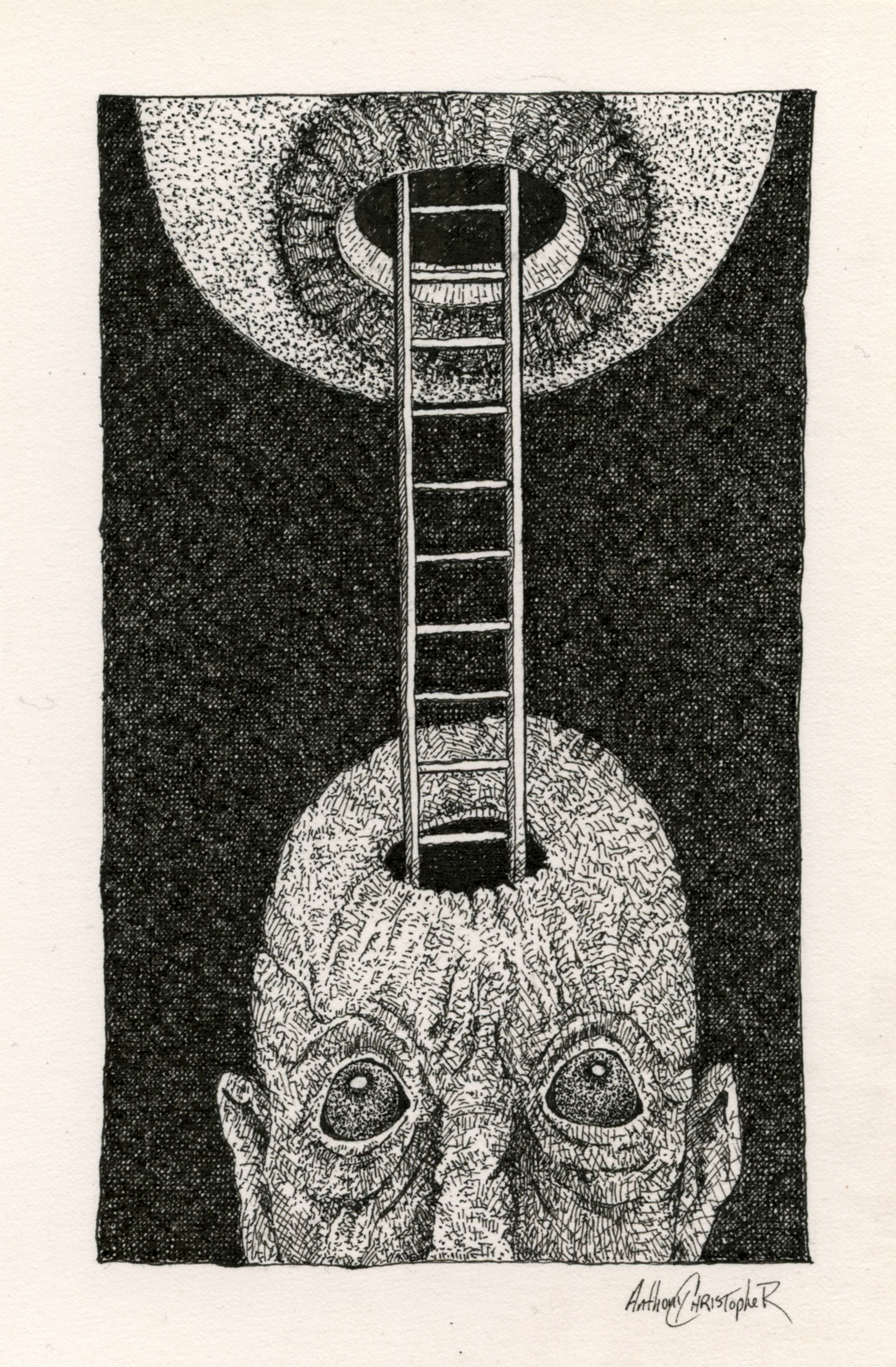 Mind under matter_large.jpg