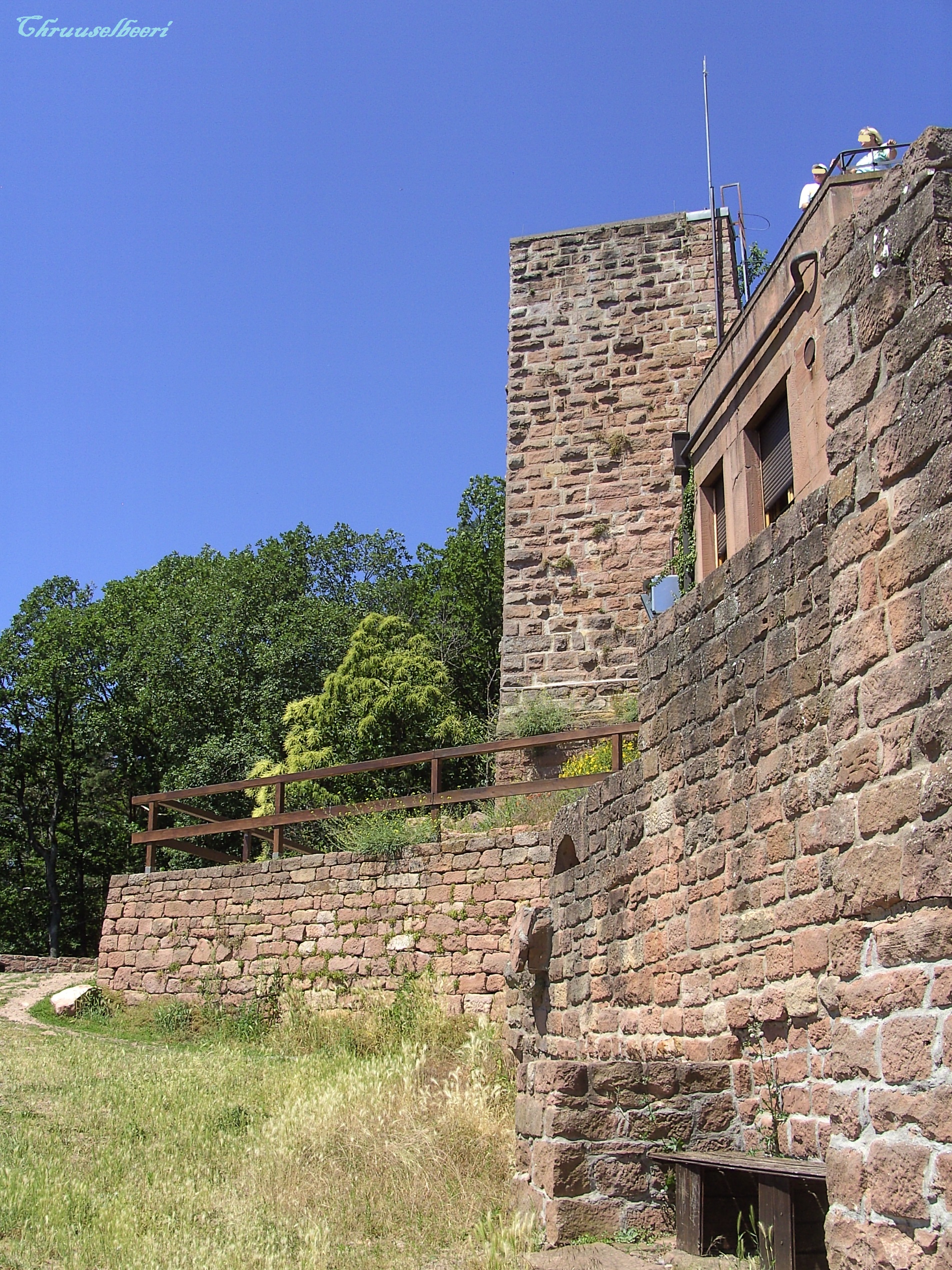Rietburg_05.jpg