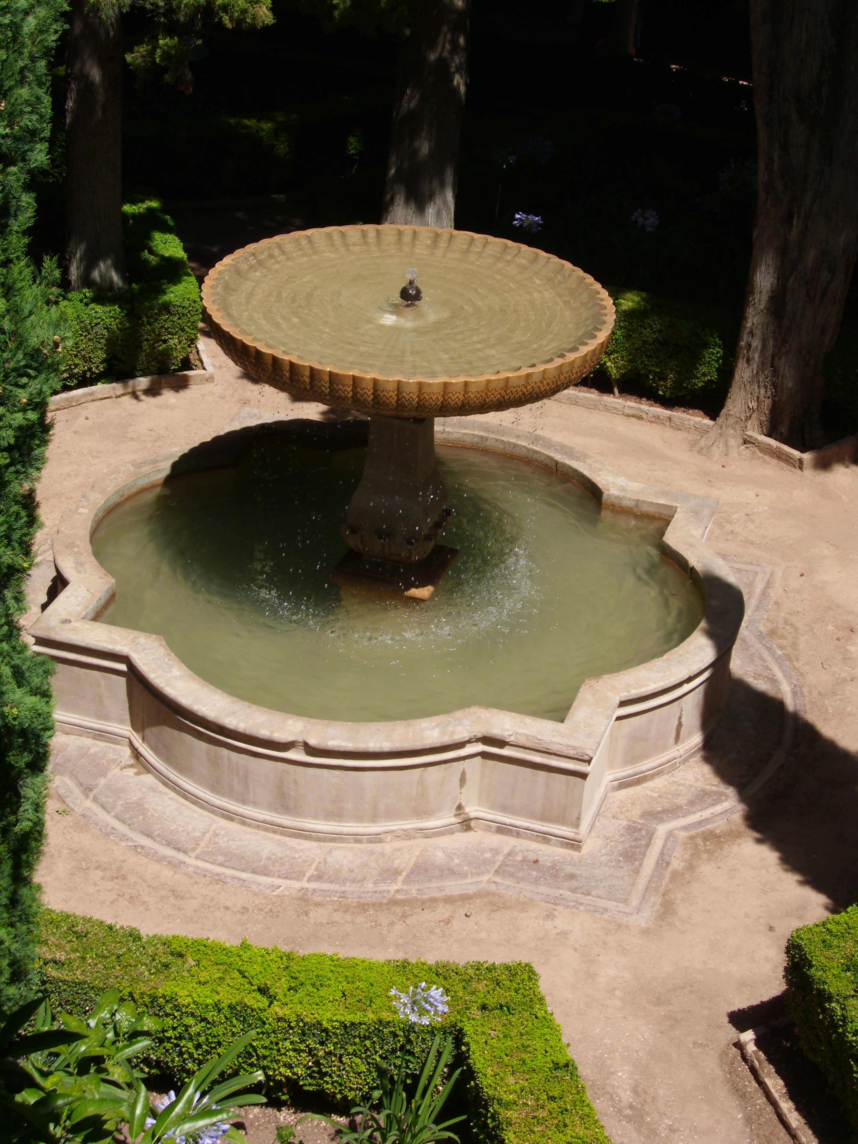 DSCI0346.JPG