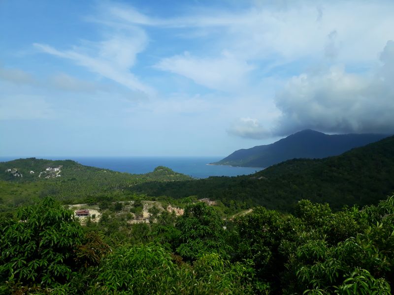 p29.jpg