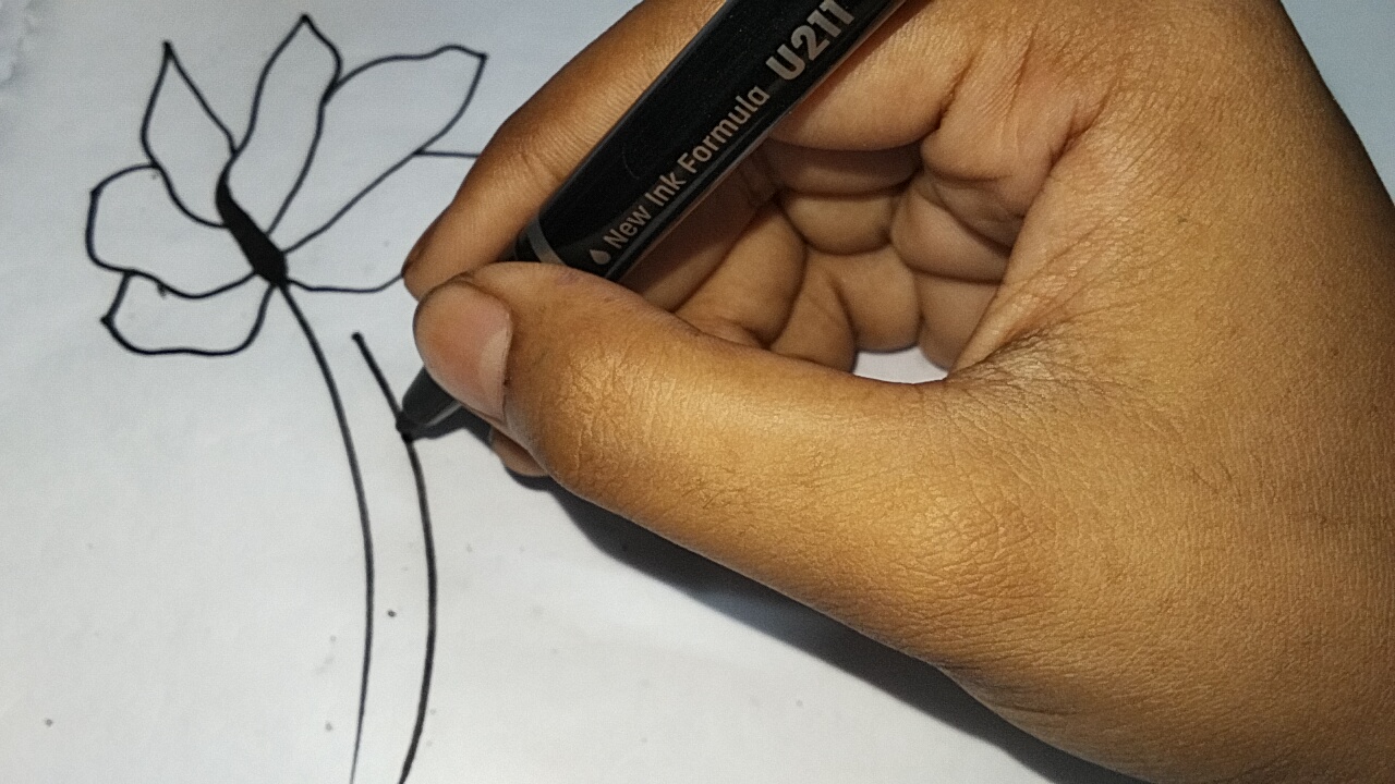1000107733.jpg