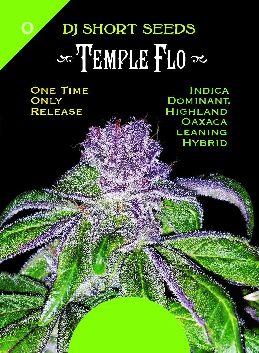 Temple Flo Card 1 Front.jpg