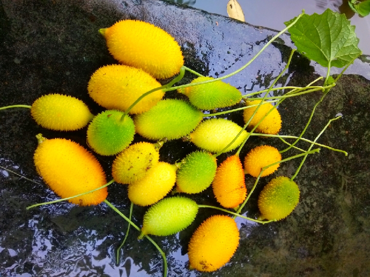 Image_1630512256.jpg