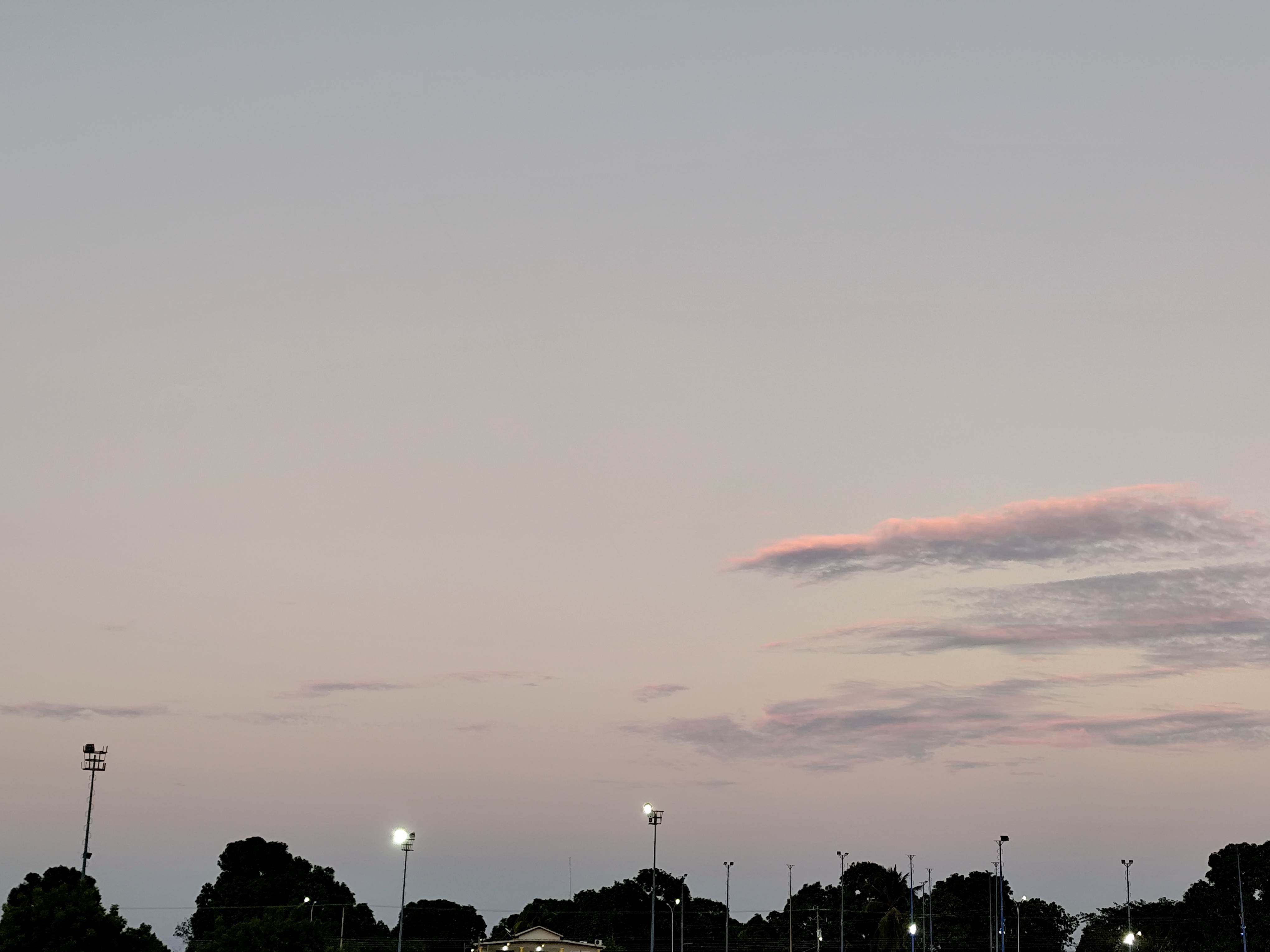 IMG_20260807_184337.jpg