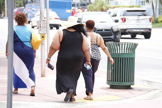 obesity-g14c469ec6_640.jpg