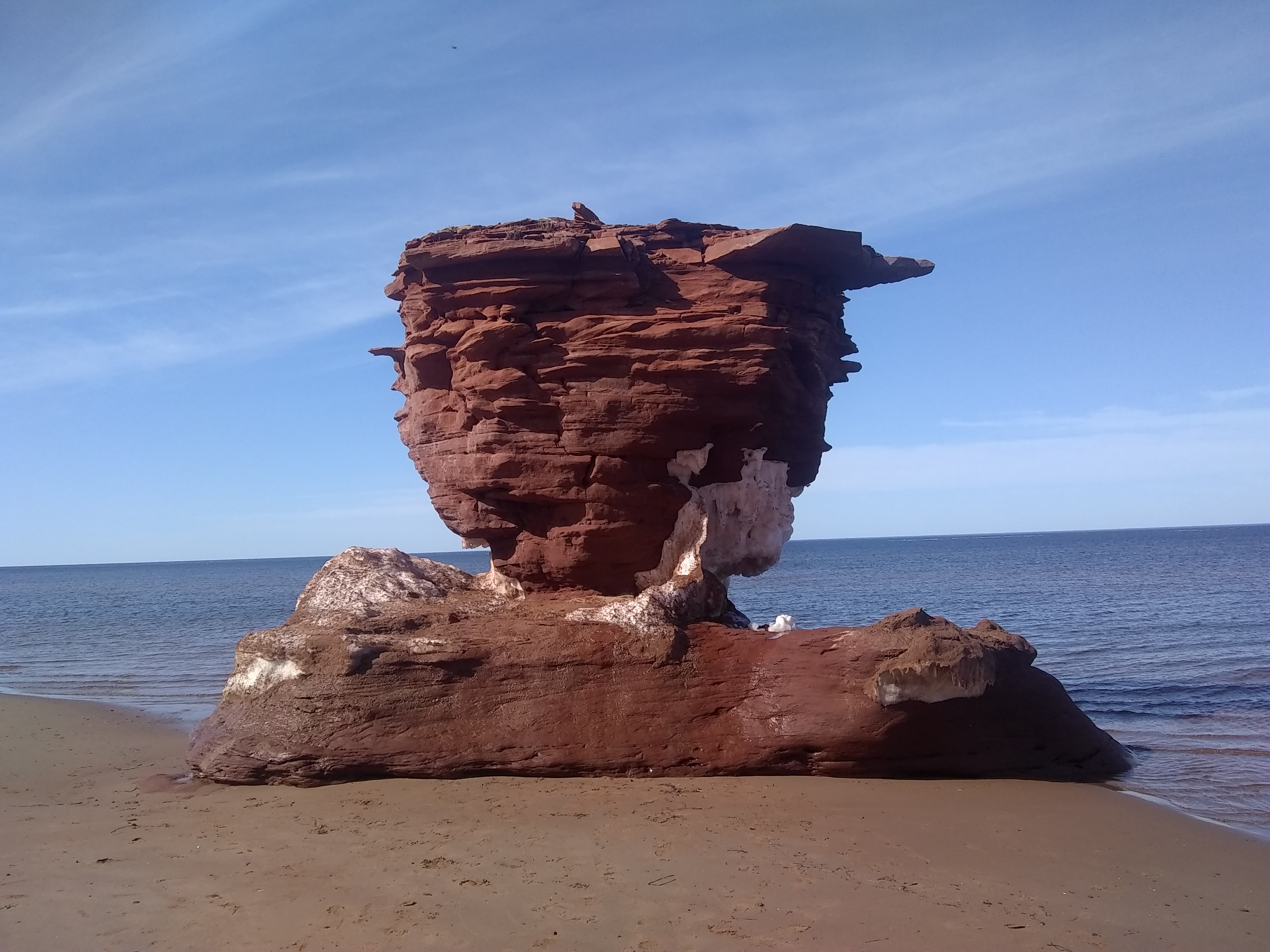 Thunder Cove 15.jpg
