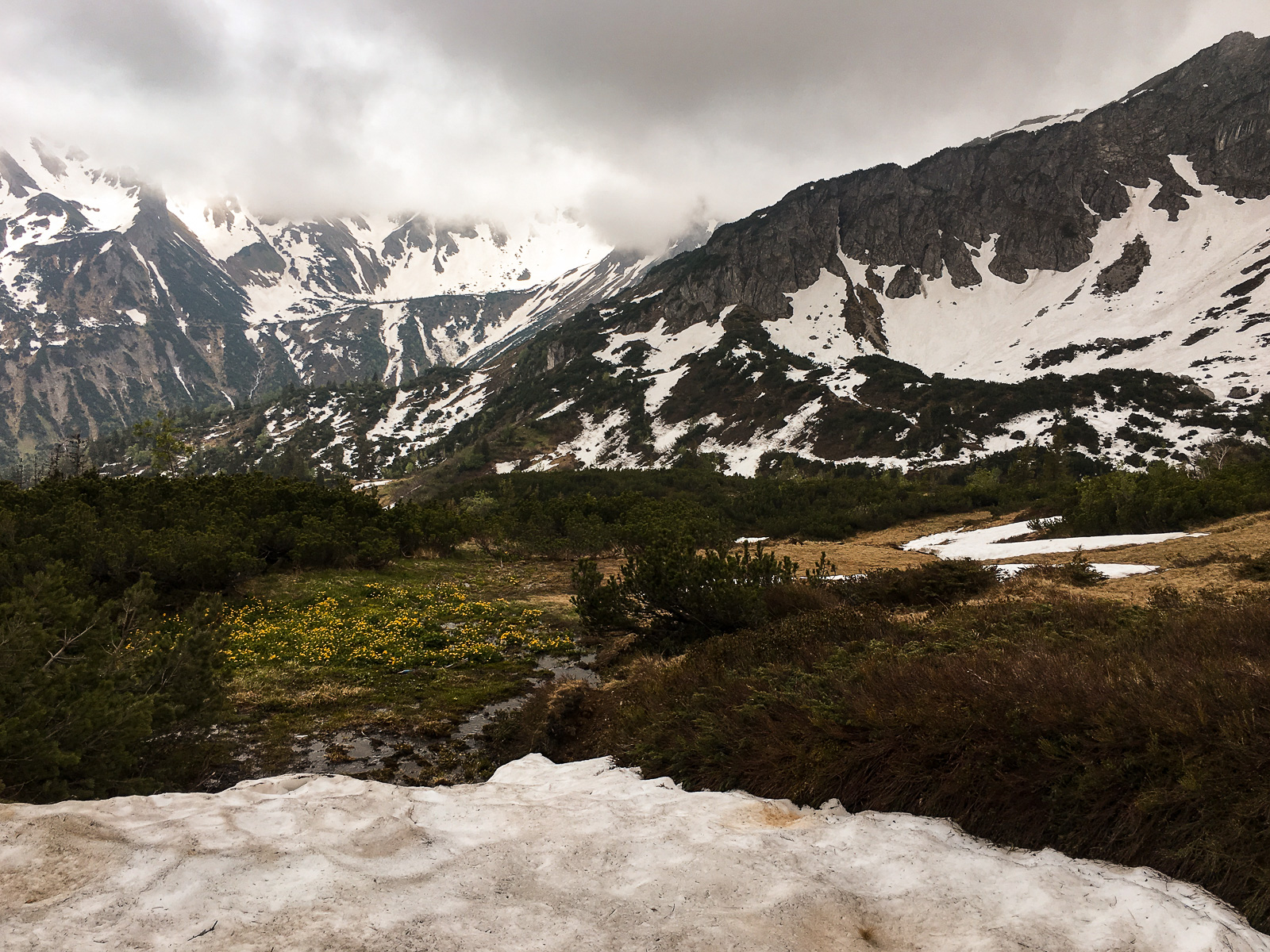 IMG_5134-7.jpg