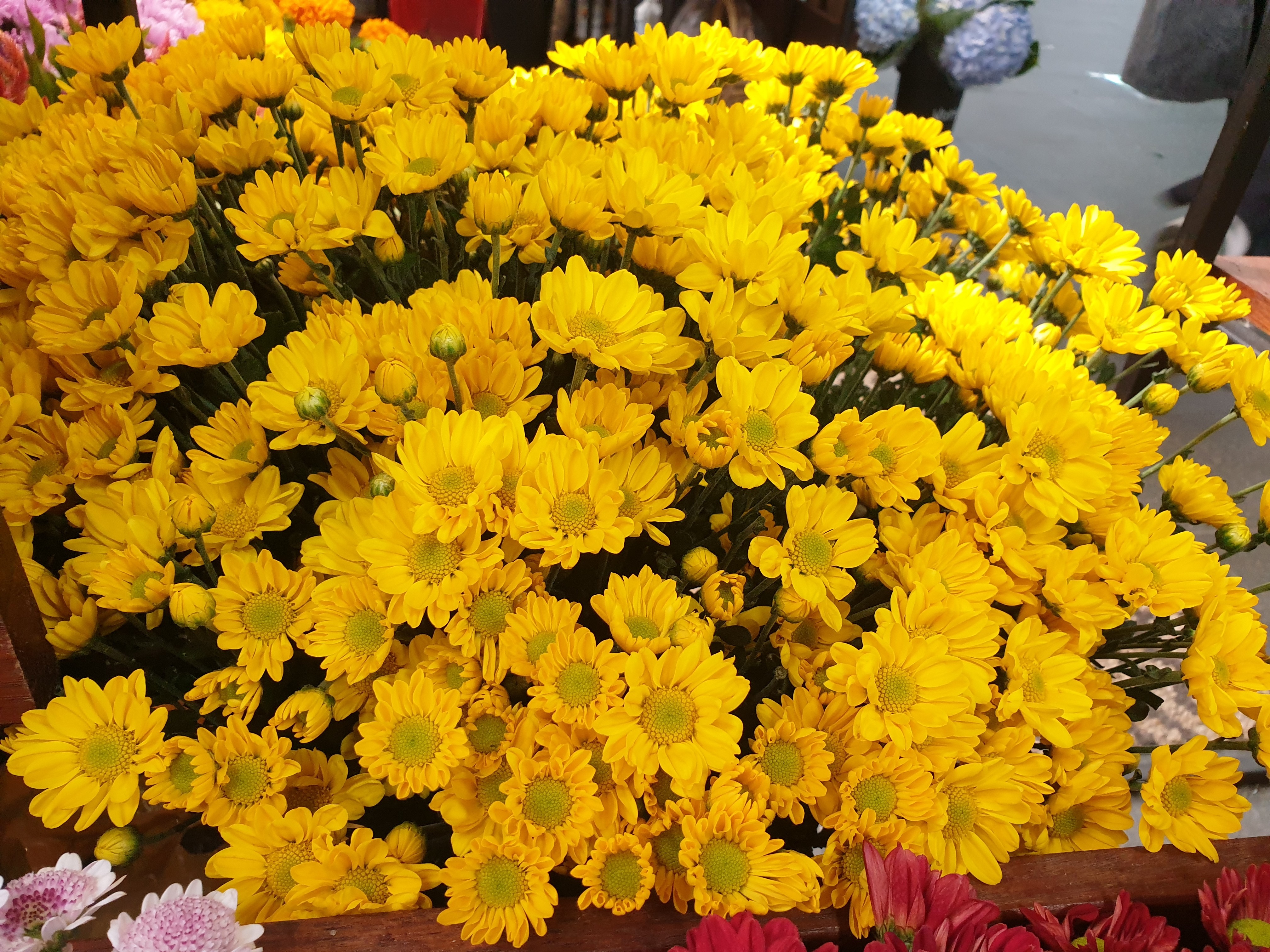20201009_122412.jpg