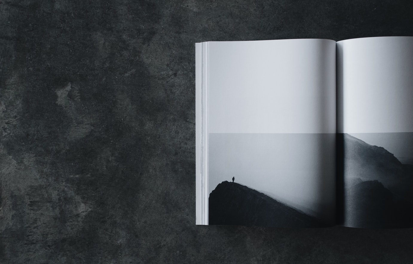 book.jpeg