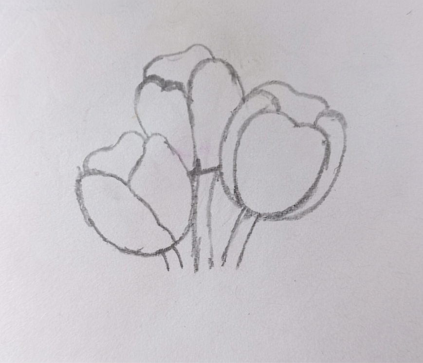 Drawing (7).png