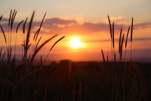 sunset-3416768__340.jpg