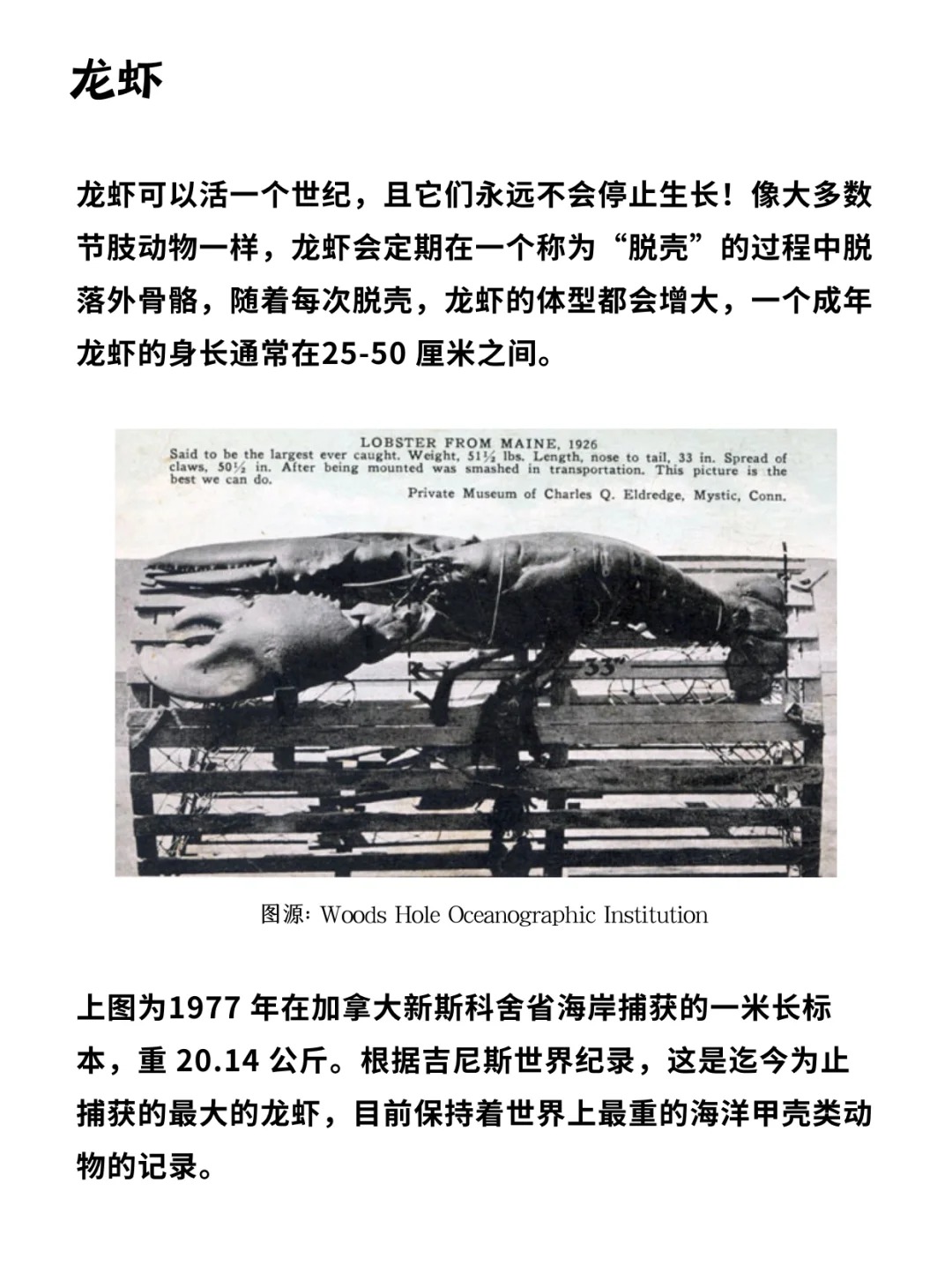 科普一分钟_你知道这些动物会“无限长大”吗❓_3.jpg