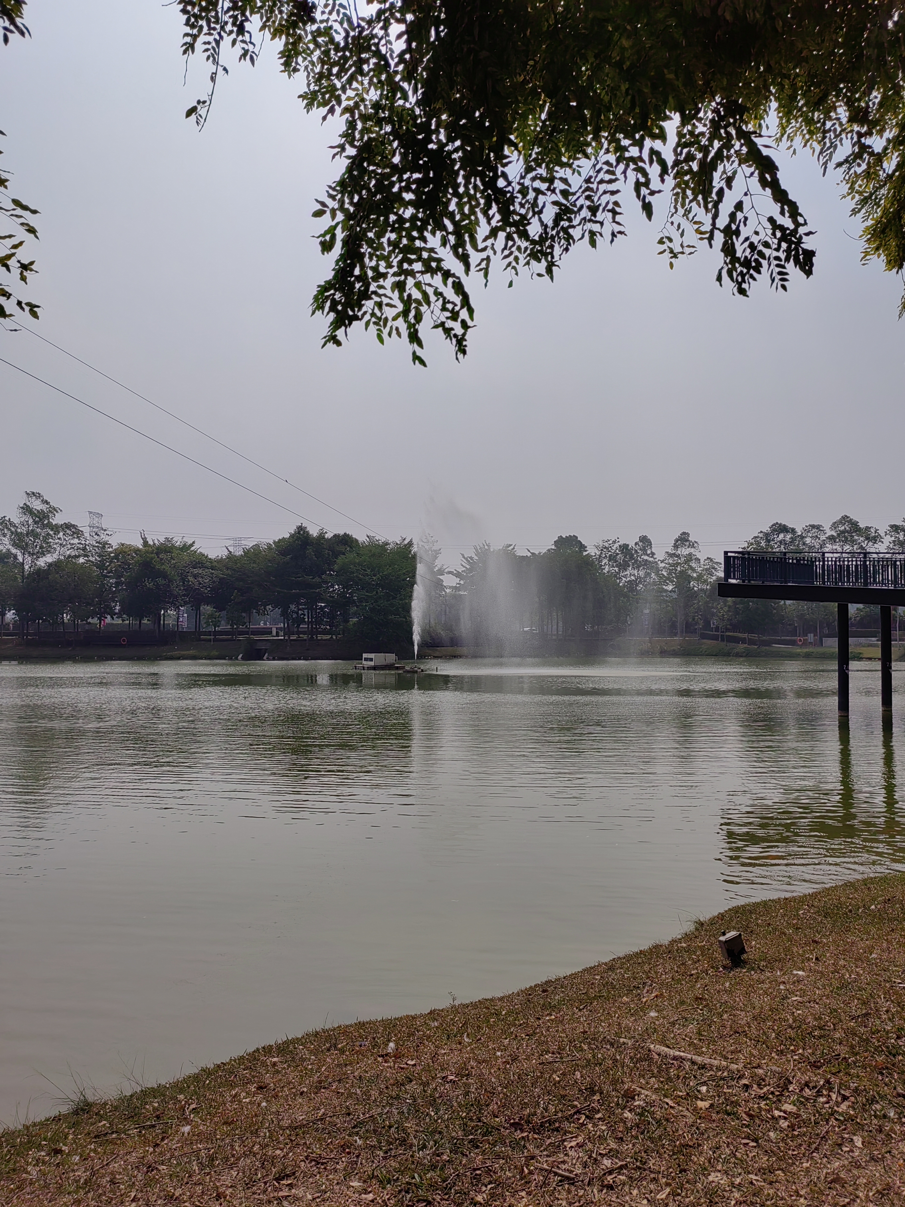 IMG_20260906_154718.jpg