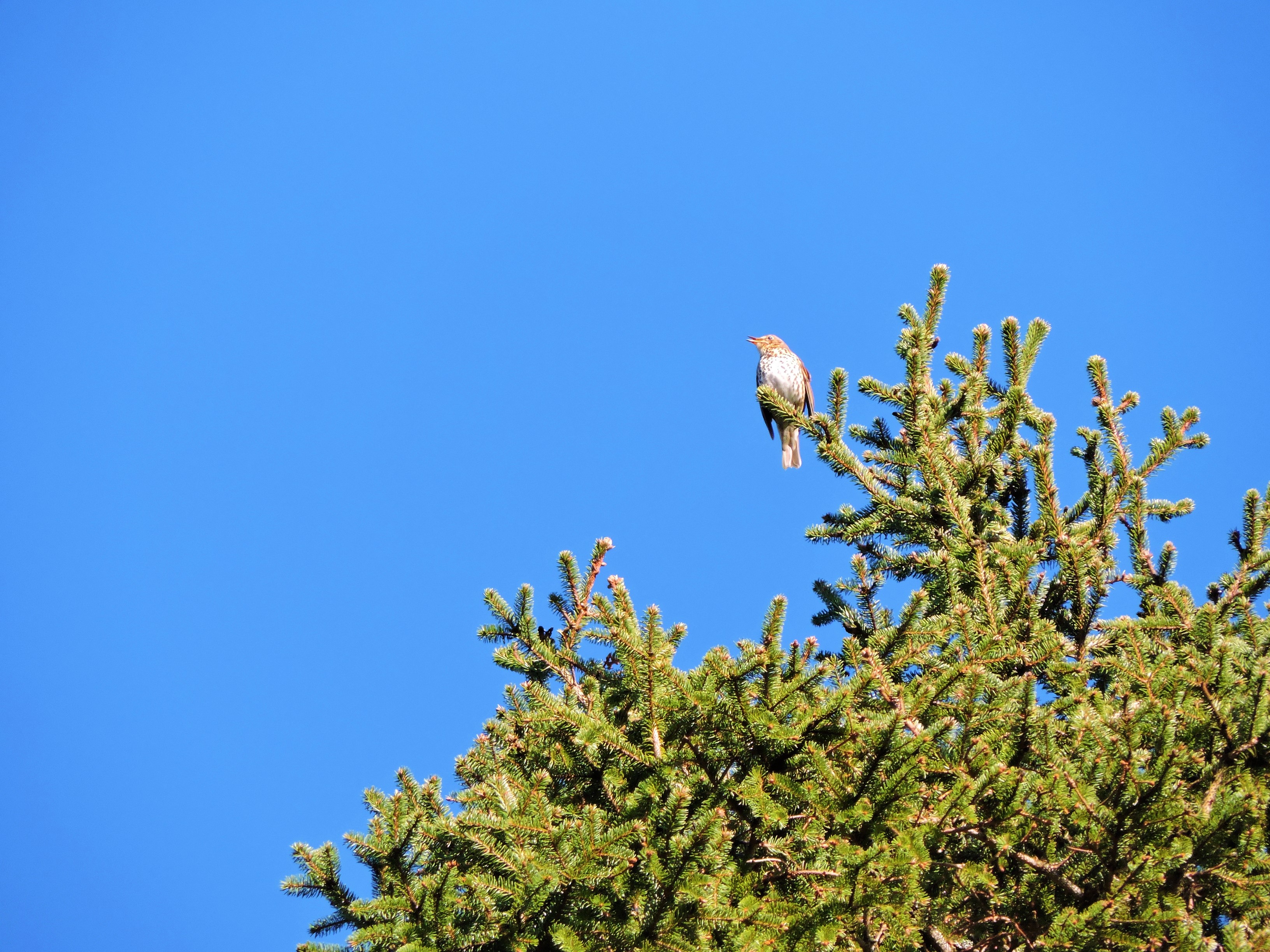 DSCN4163.JPG
