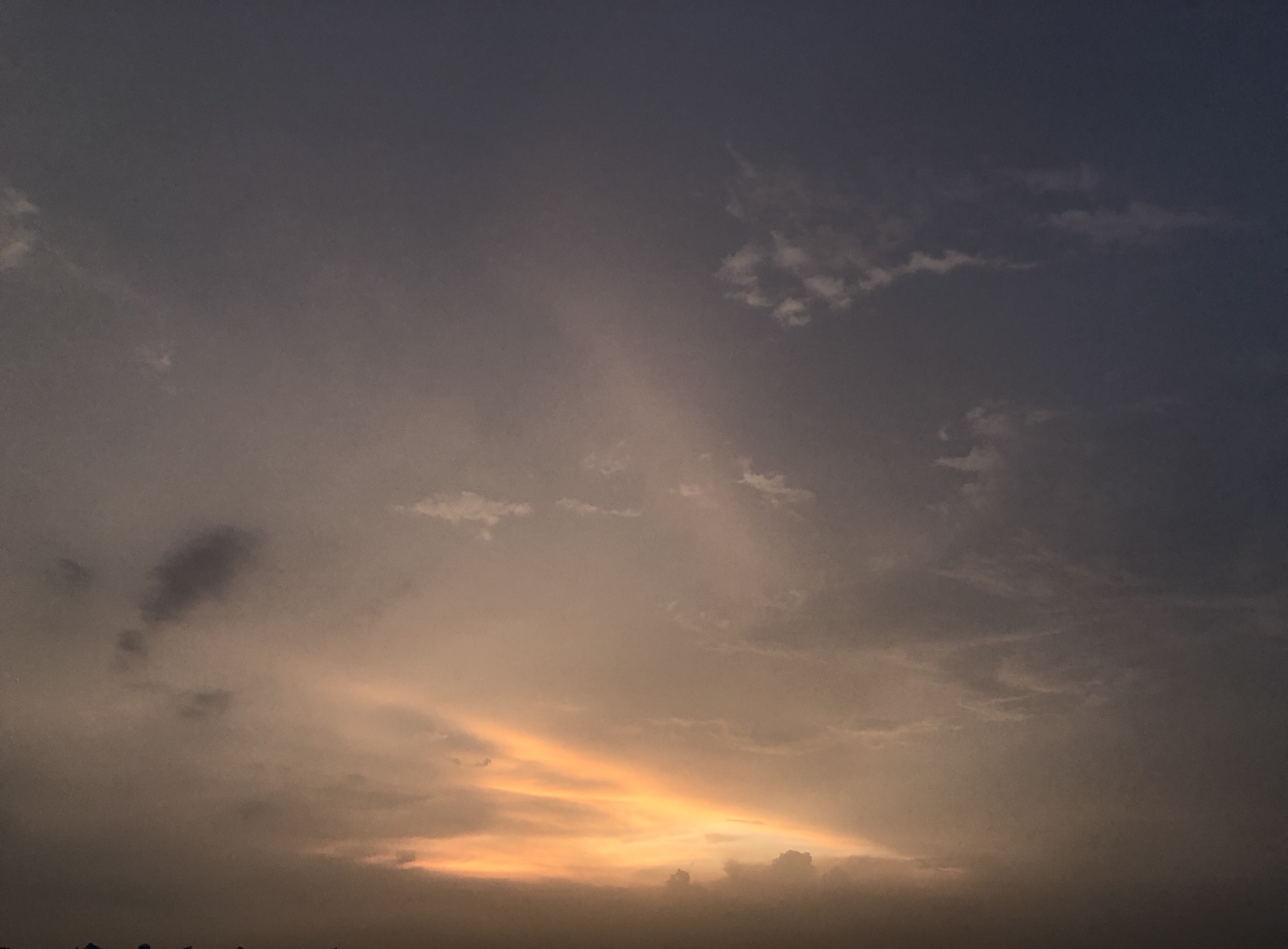 4AB5653F-B4FC-4494-B822-D46D07931C88.jpeg