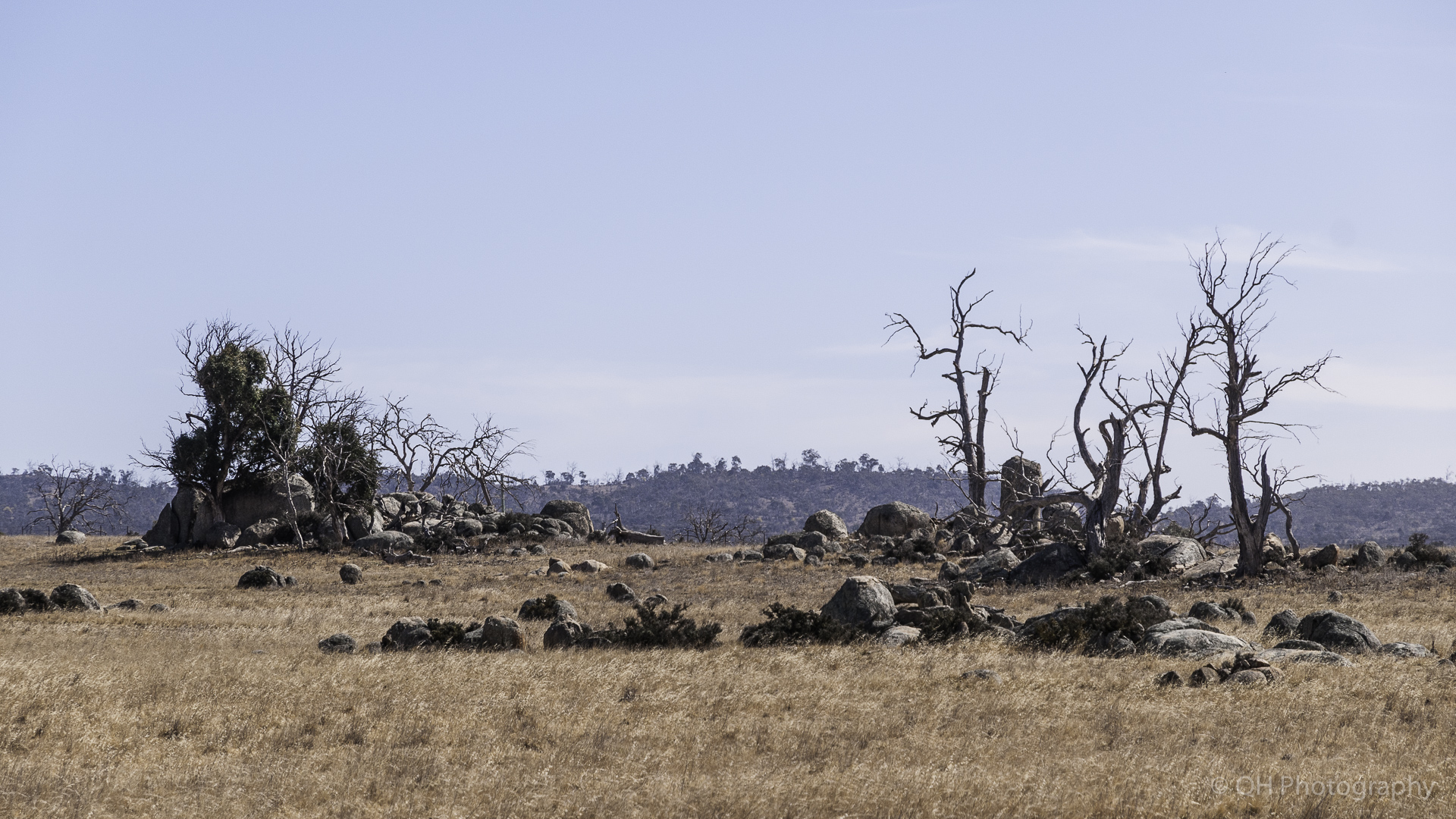 Monaro Plains-4810.jpg