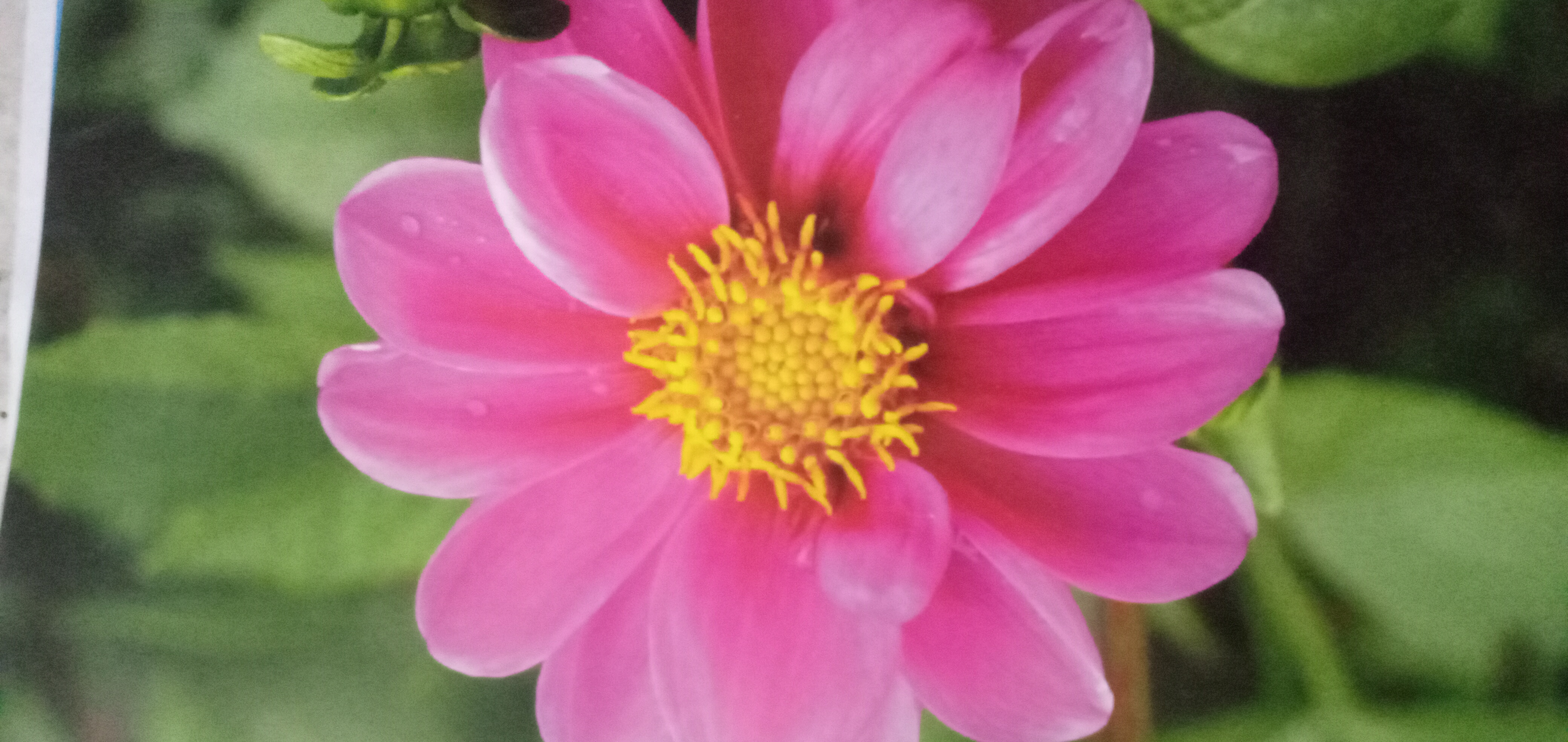 20201210_170940.jpg