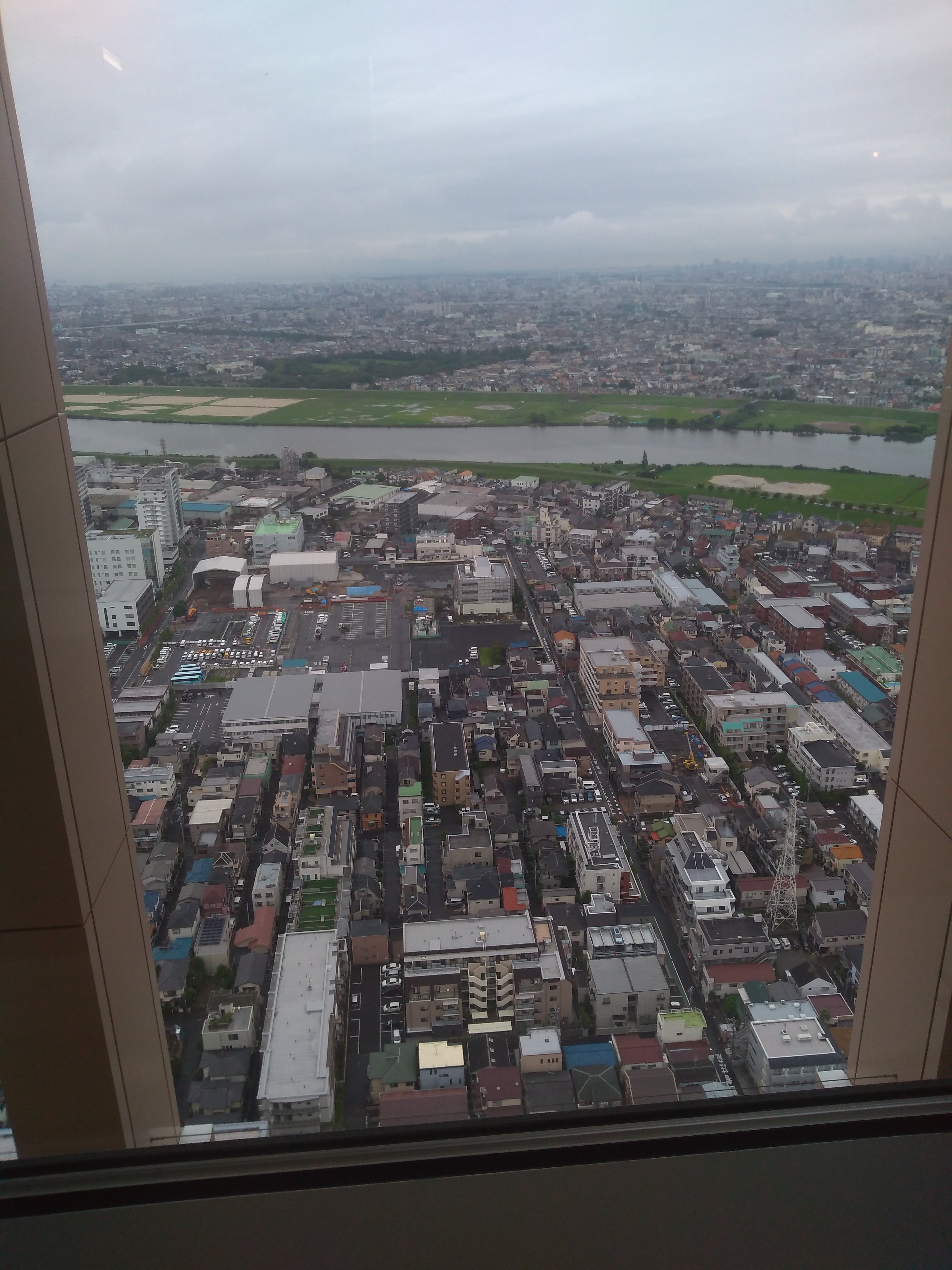 JPEG_20190716_173541.jpg