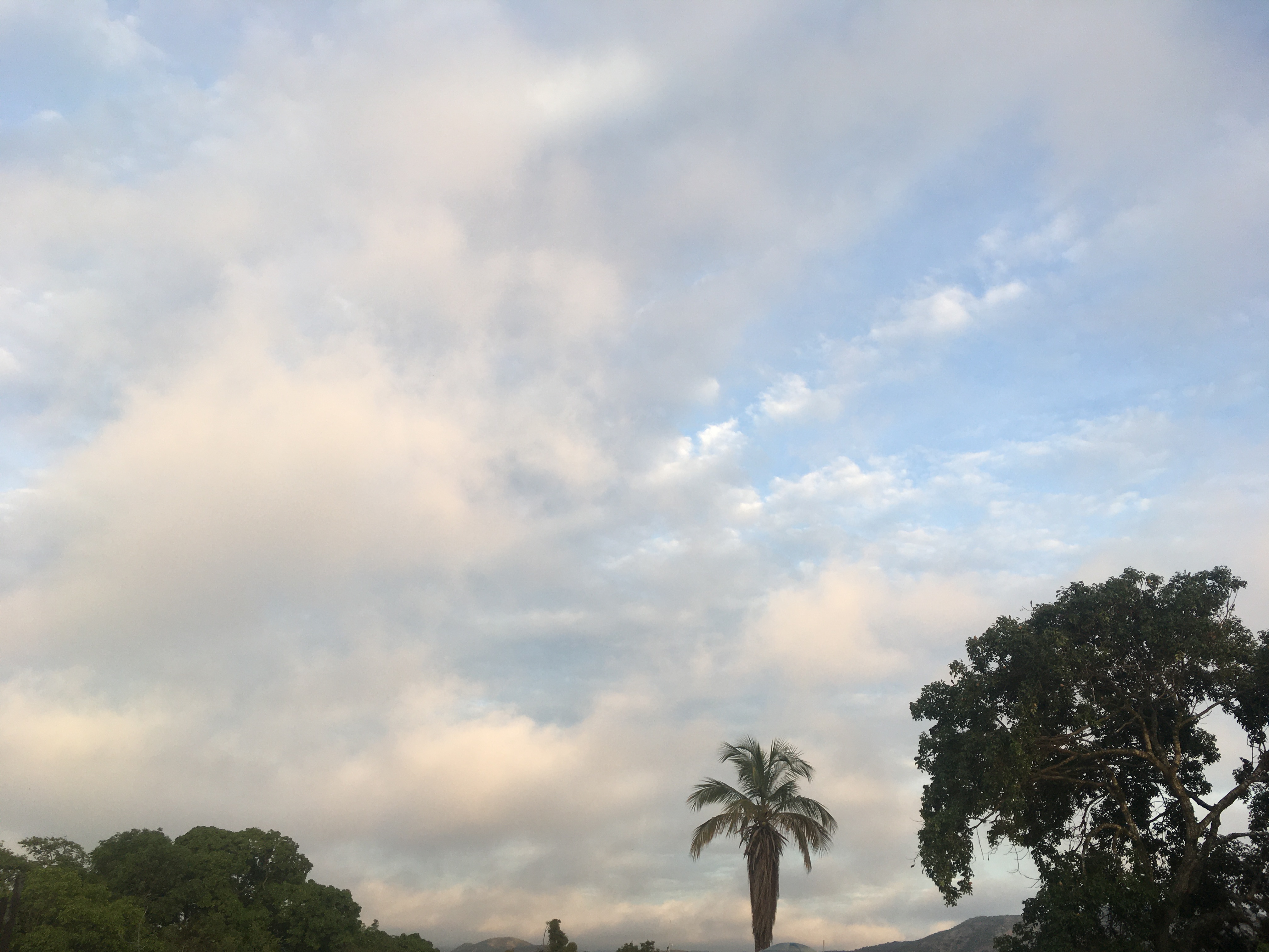 D161AF7E-7FF2-4935-A002-09D88EC9C13B.jpeg