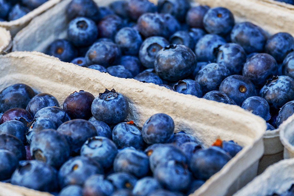 blueberries-3474854_960_720.jpg
