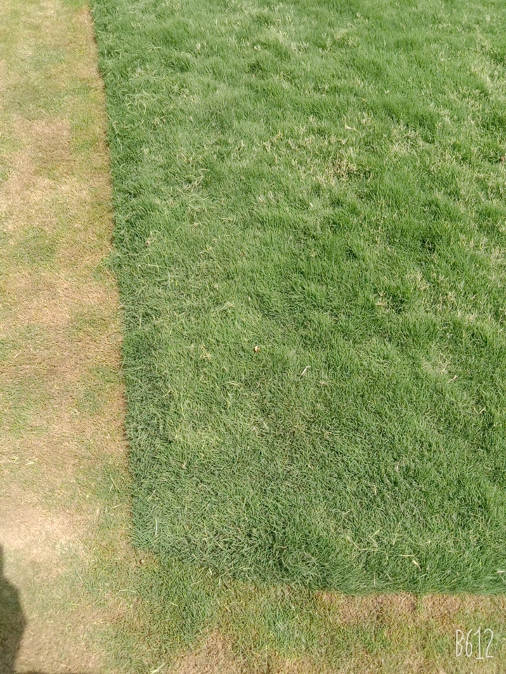 B612_20210528_102334_125.jpg