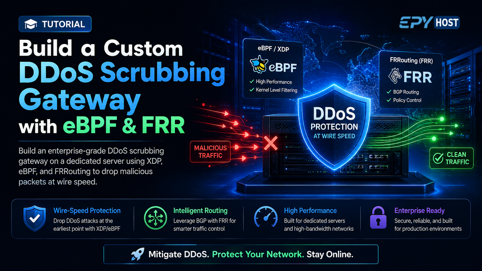 ddos-scrubbing-ebpf-frr.png