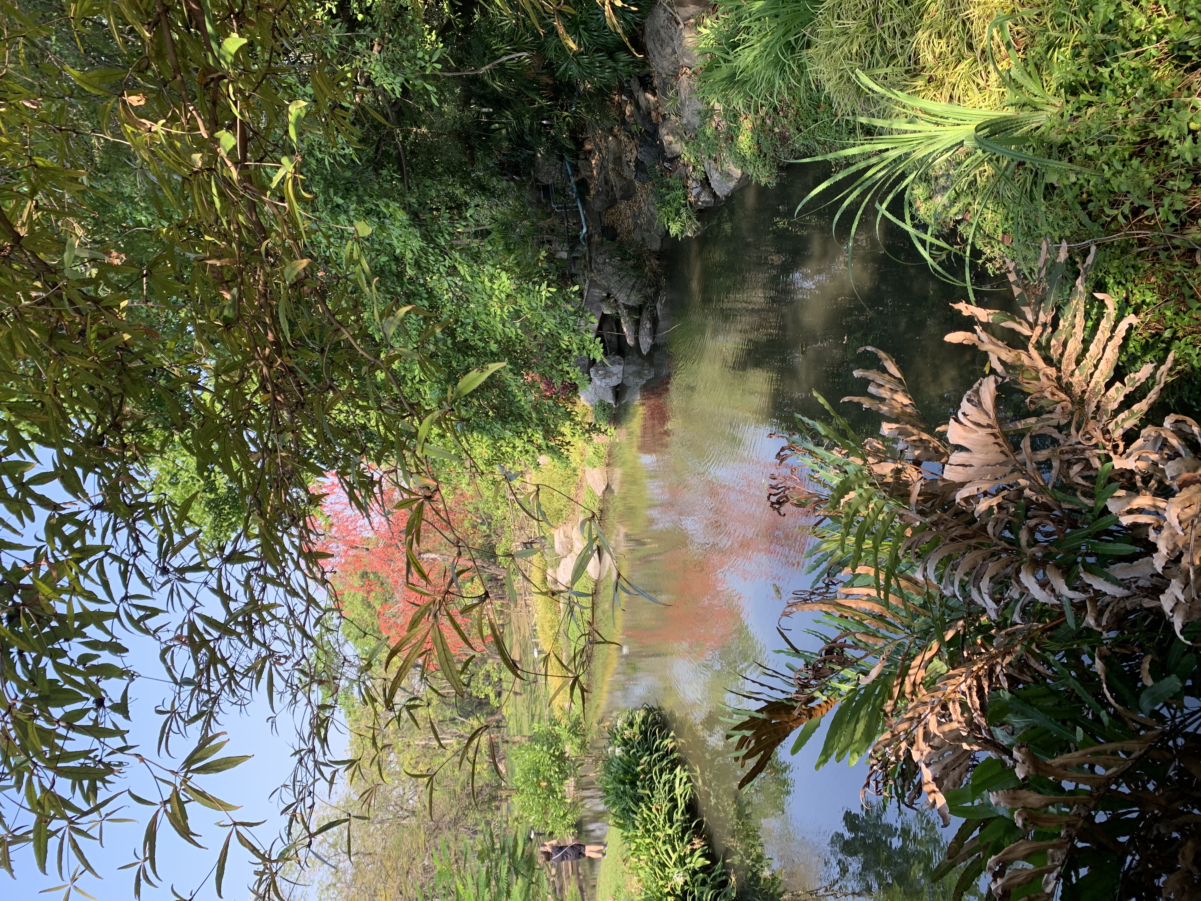Queen Sirikit Park7.jpg