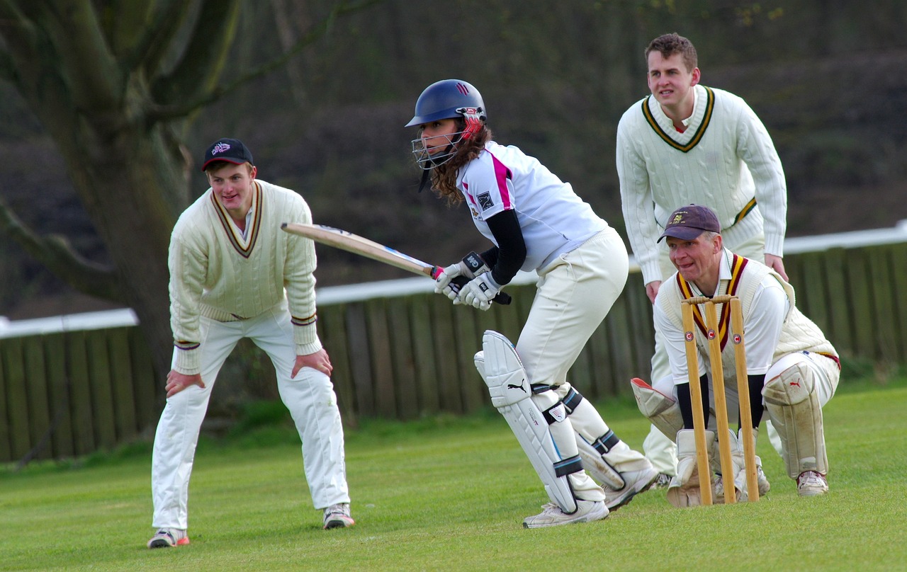 cricket-724615_1280 (1).jpg