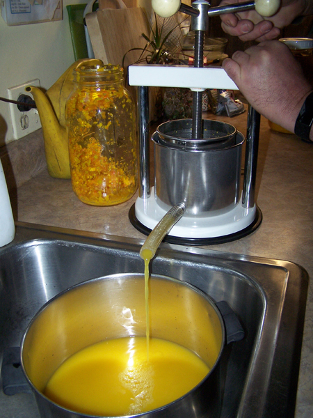 Fire cider - pressing the first jar crop November 2019.jpg