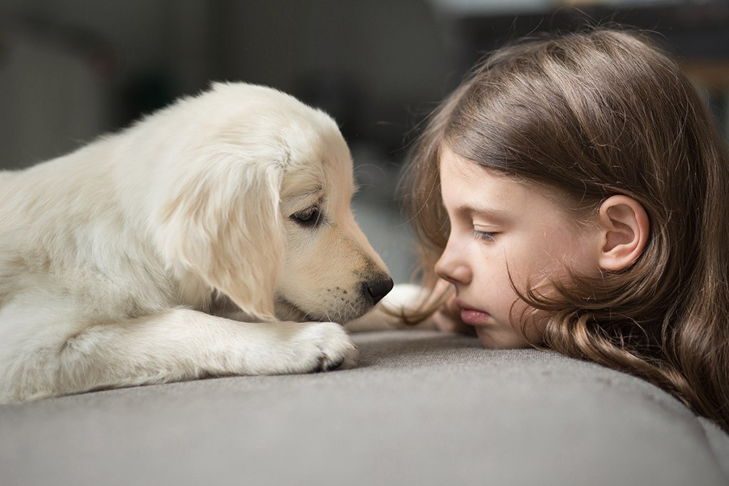 ways to bond puppy 4.jpg