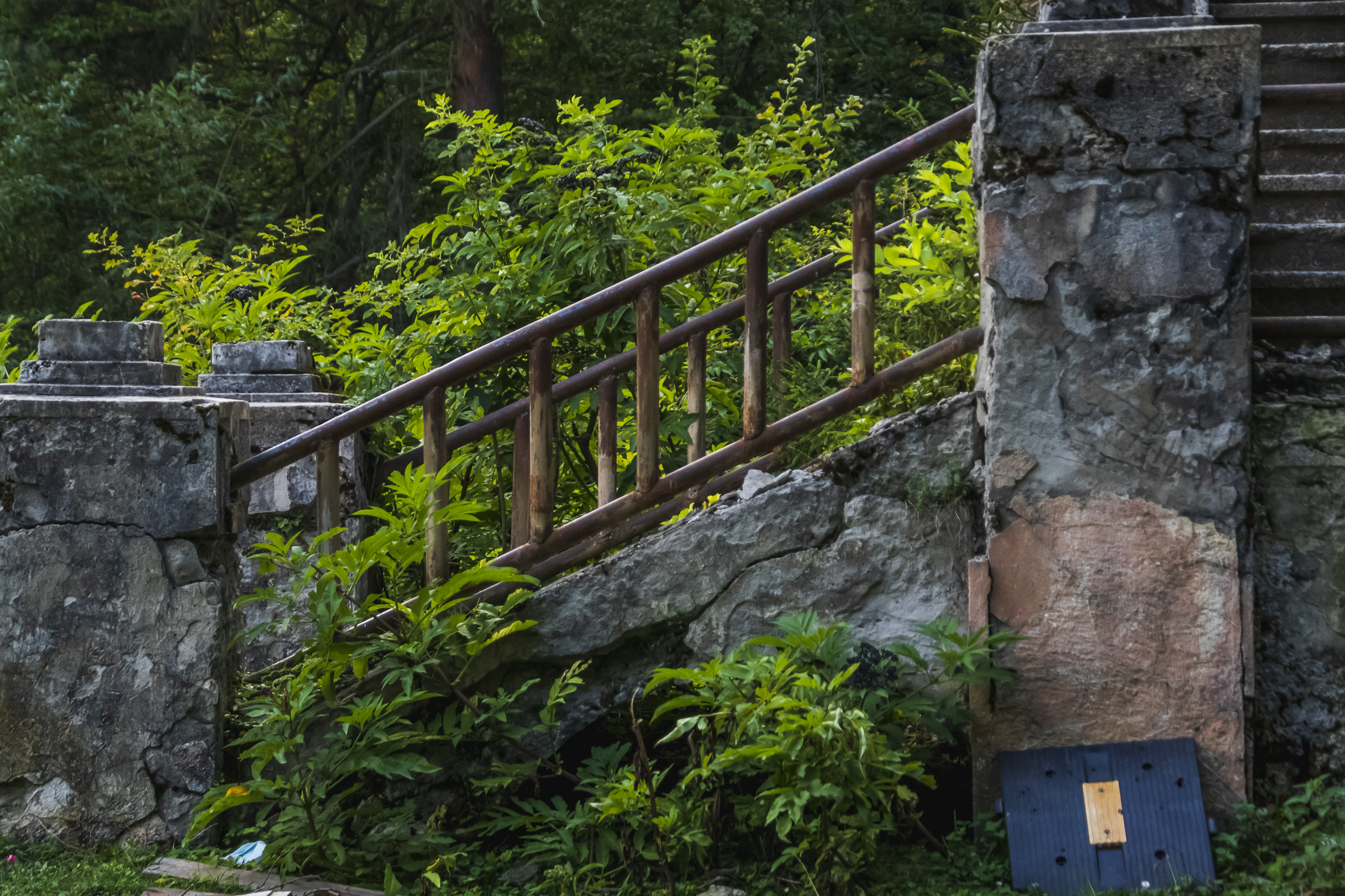 2021_09_01__026697.jpg