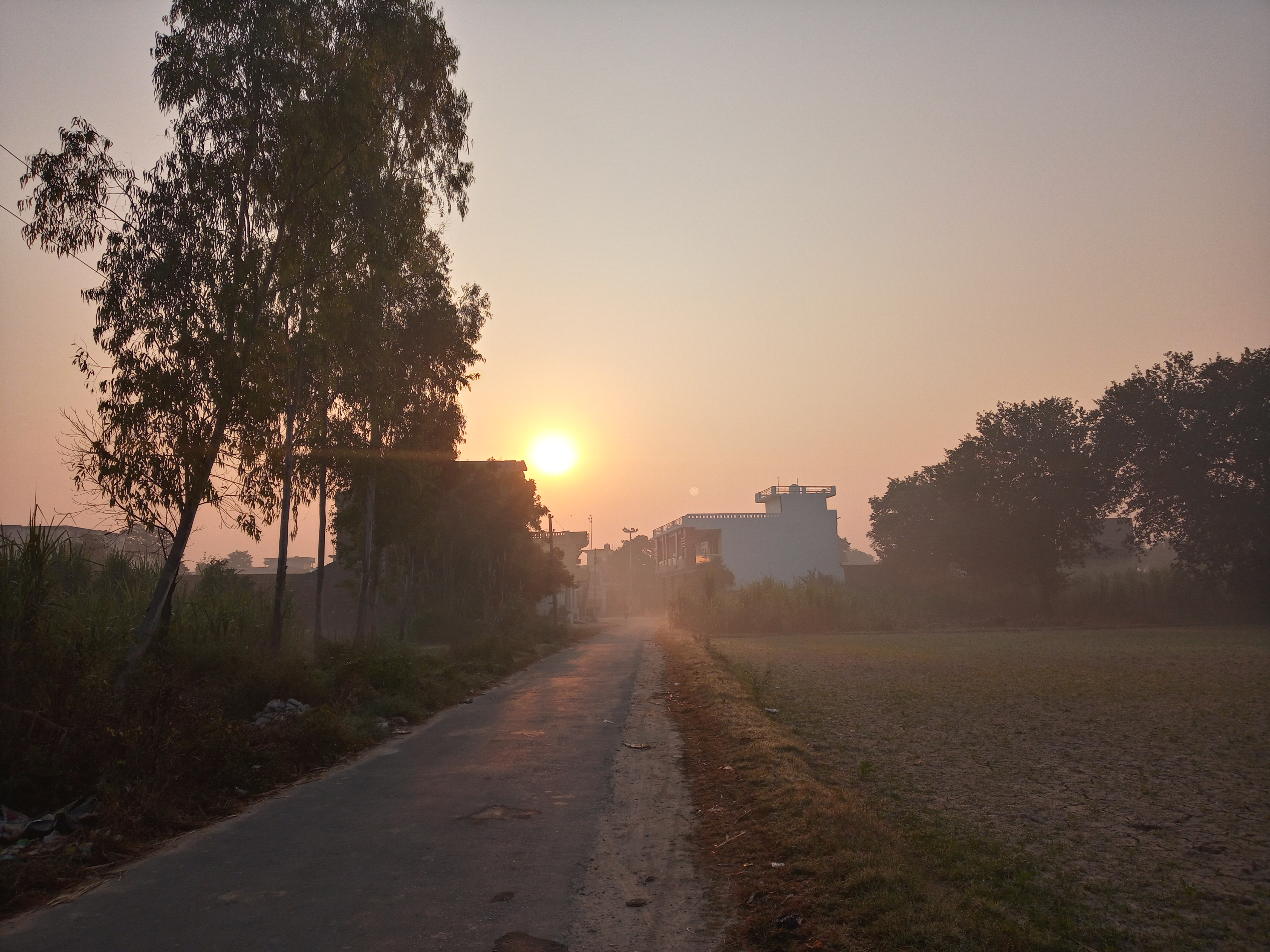 20211114_072951_HDR.jpg